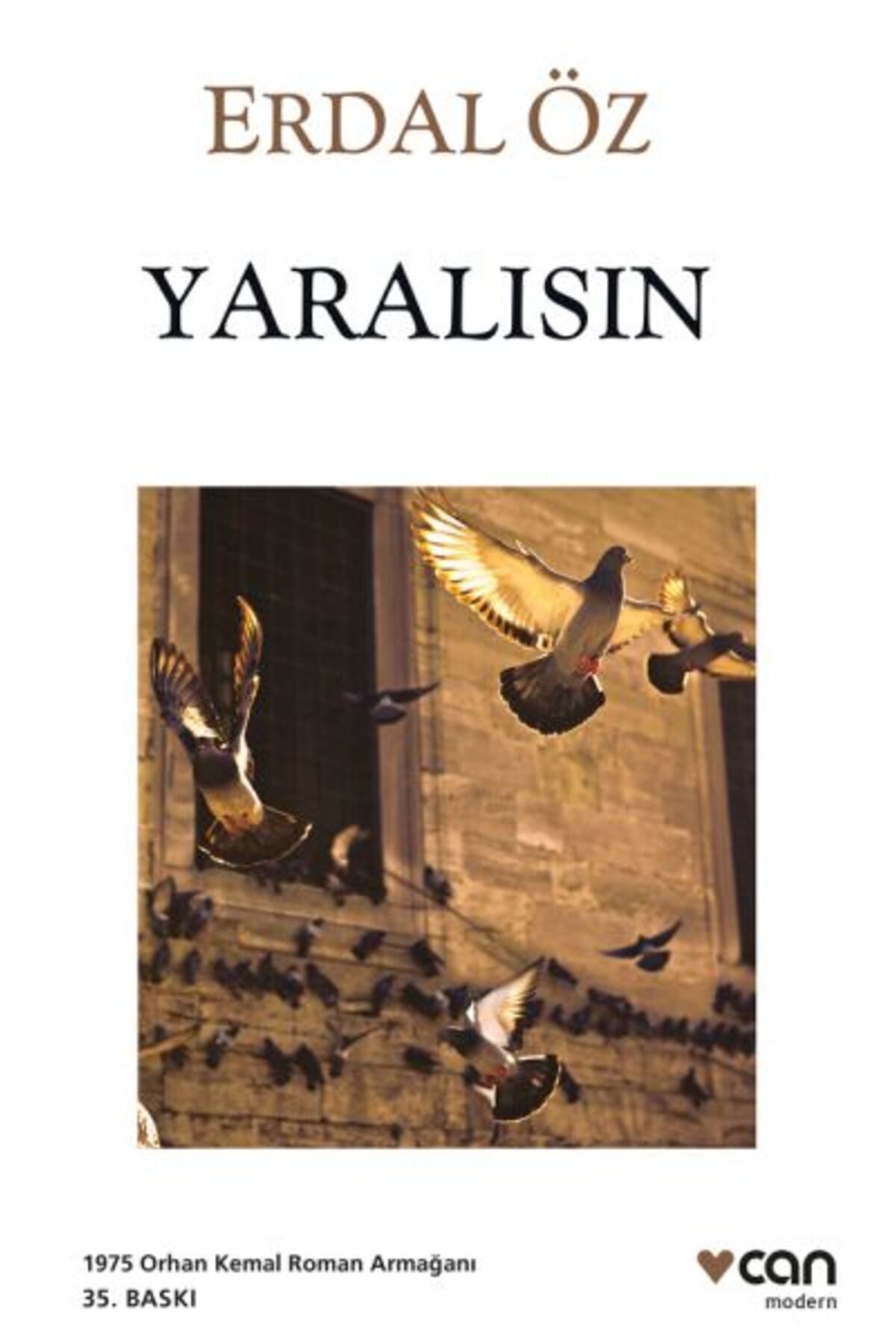 Destek Yayınları Yaralısın