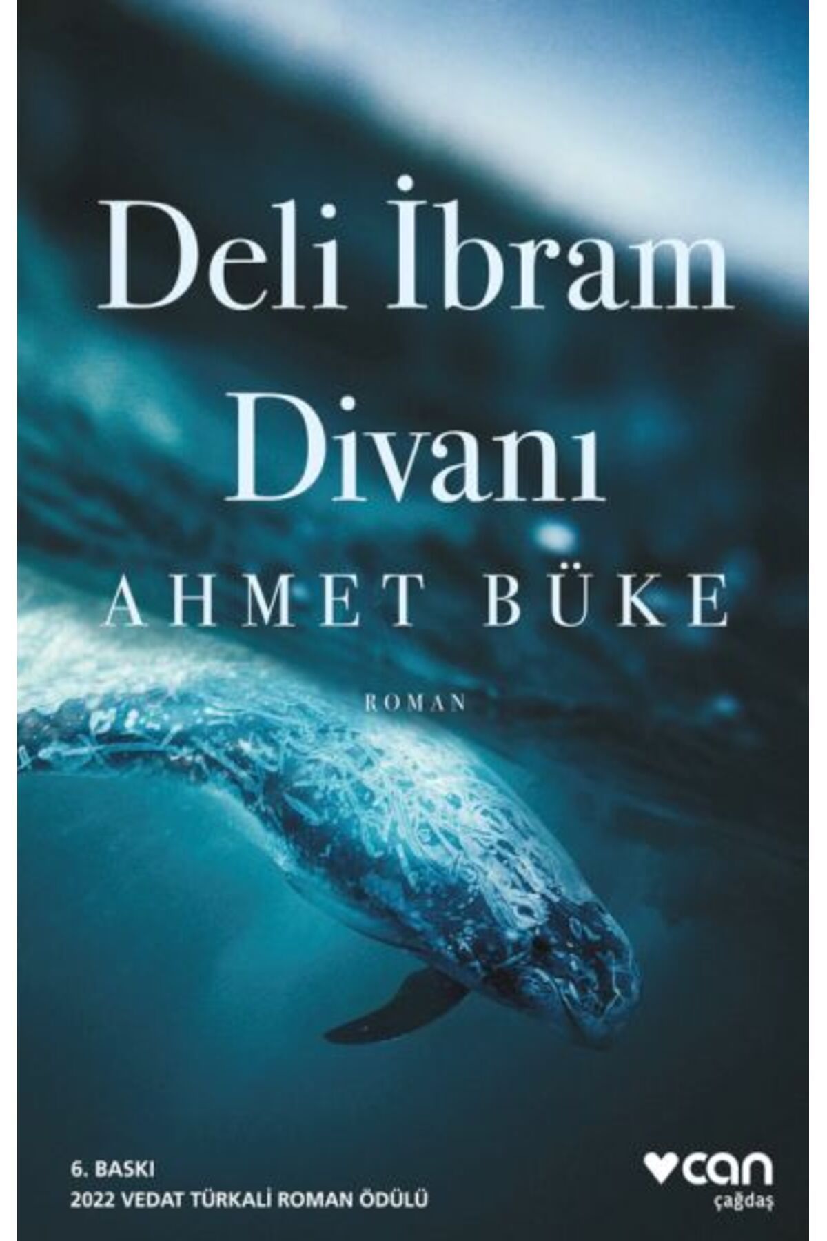 Destek Yayınları Deli İbram Divanı