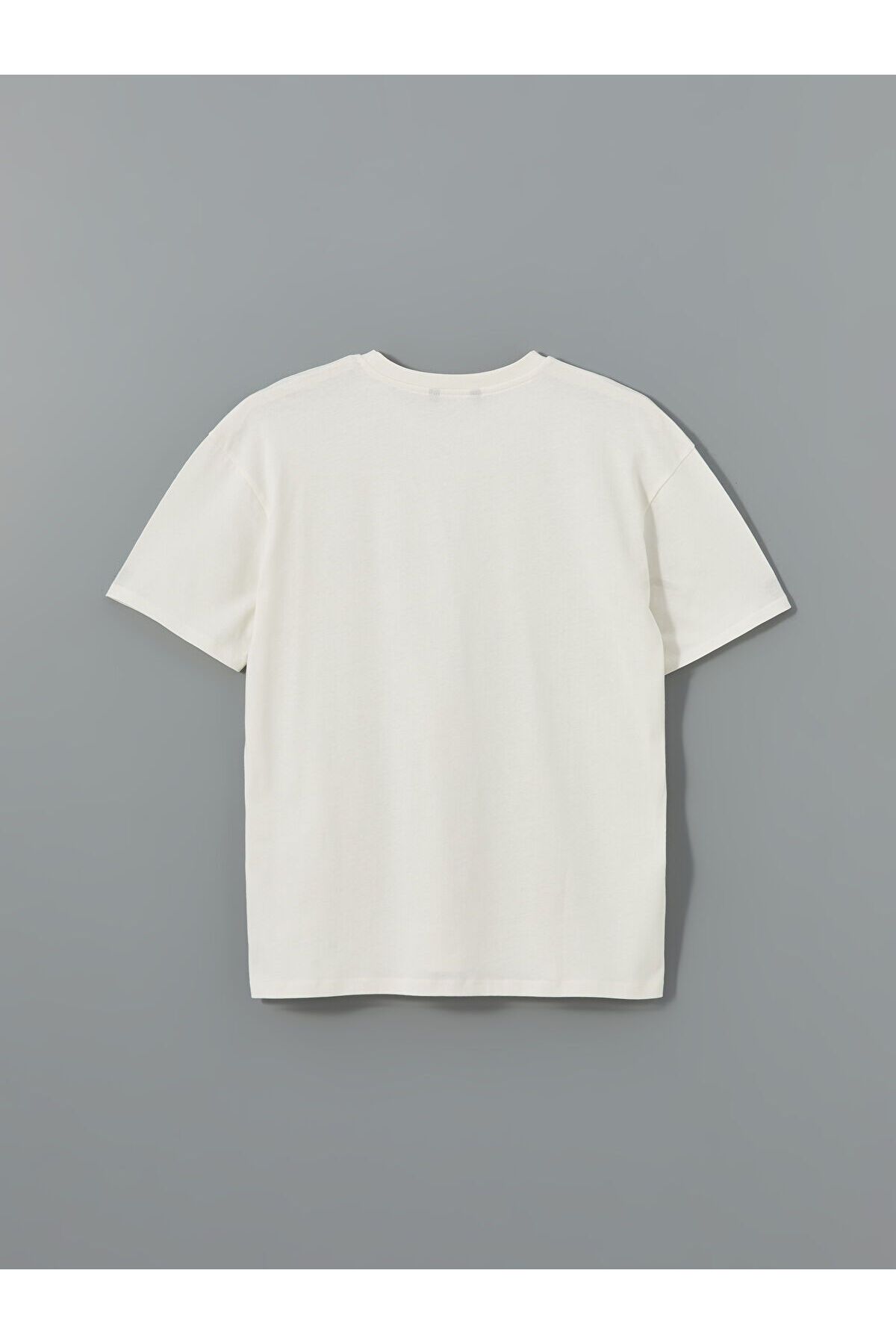 LC Waikiki-Crew Neck Printed Men's T-Shirt 6