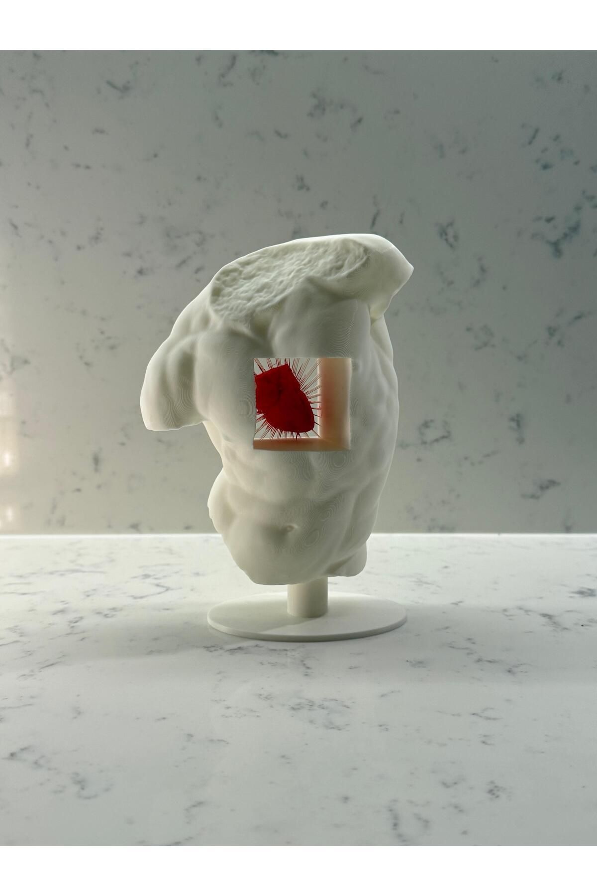 ZEYTİN3D Marcus Heykel Biblo