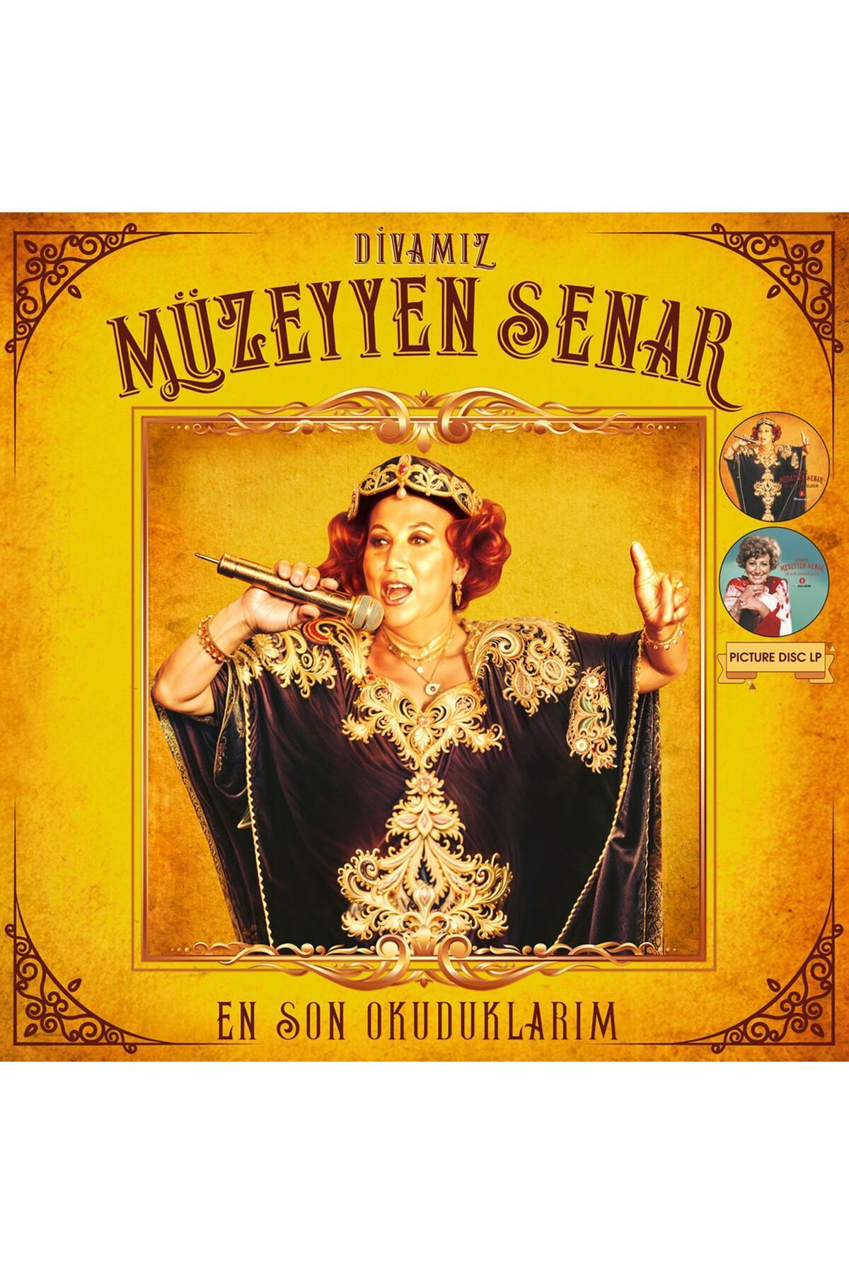 değer Müzeyyen Senar Divamız / En Son Okuduklarım Picture Disc Plak