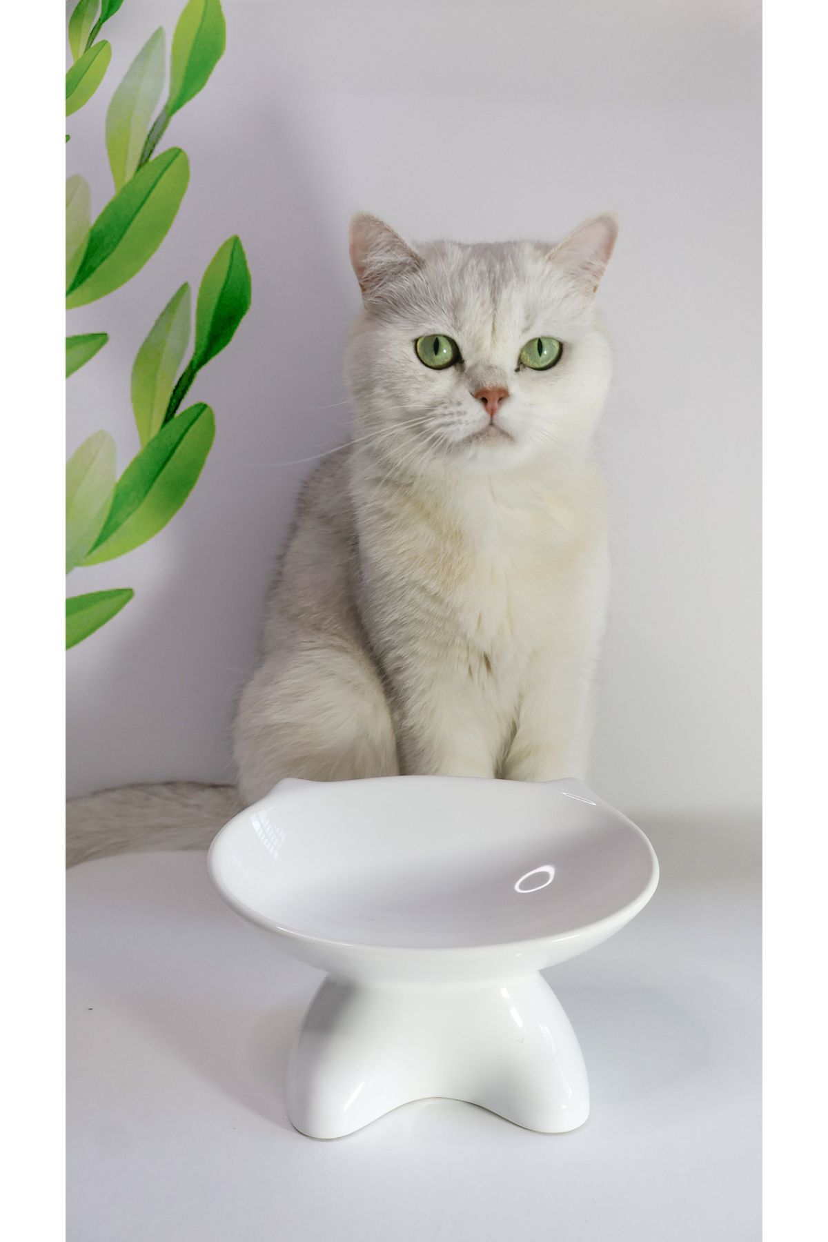 TAMER YİĞİT Özel Tasarım Kedi Maması Kabı 1.Kalite Seramik Beyaz