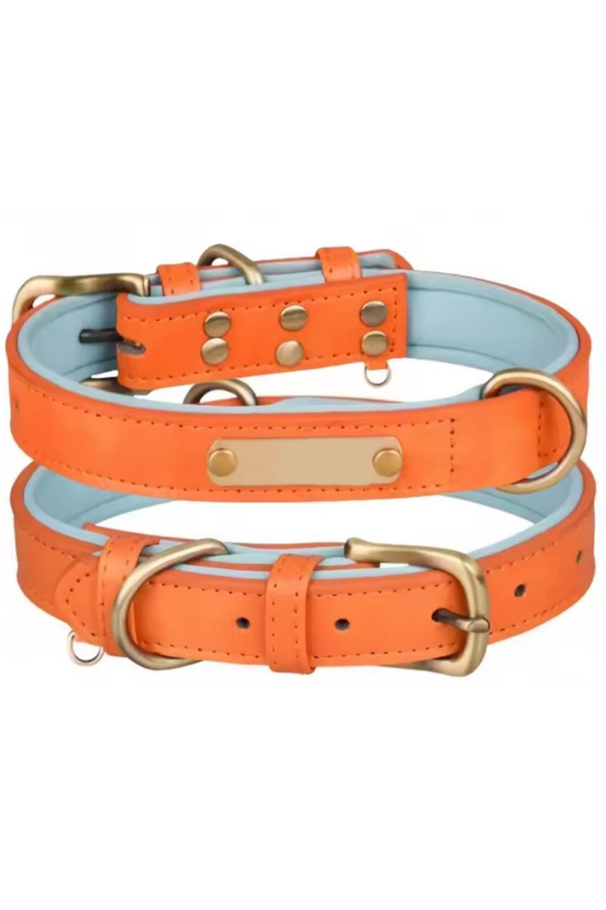 REDz Accessories Zgardă Clasică Cu Etichetă Inscripționabilă, Mărimea S, Lungime 32 Cm, Reglabilă, Aspect Piele, Portocaliu Și Albastru - One Size