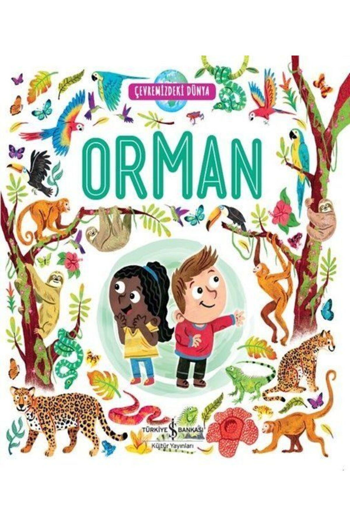Destek Yayınları Orman Çevremizdeki Dünya