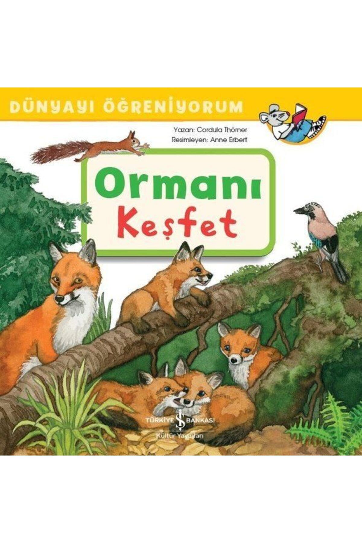 Destek Yayınları Ormanı Keşfet Dünyayı Öğreniyorum