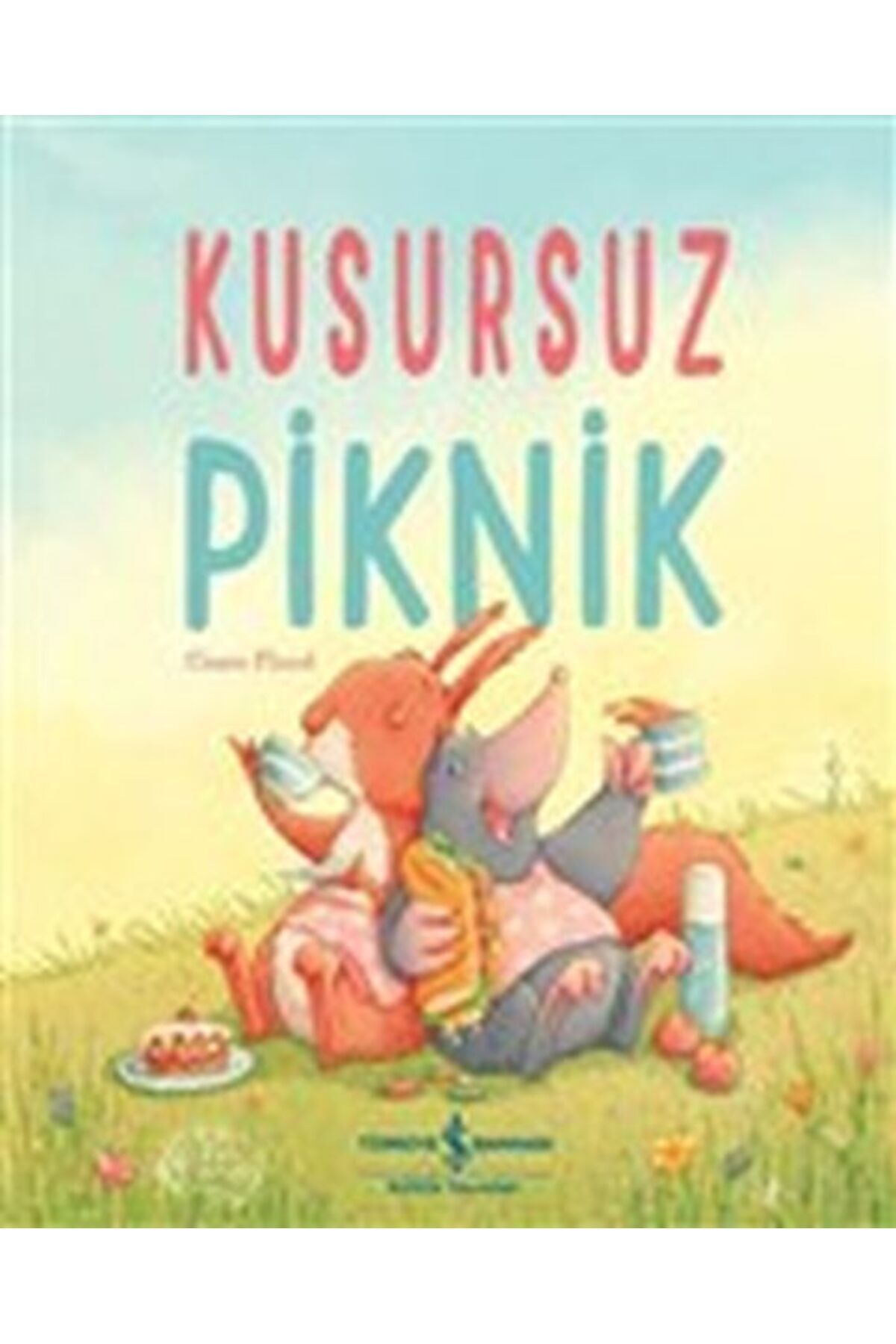 Destek Yayınları Kusursuz Piknik