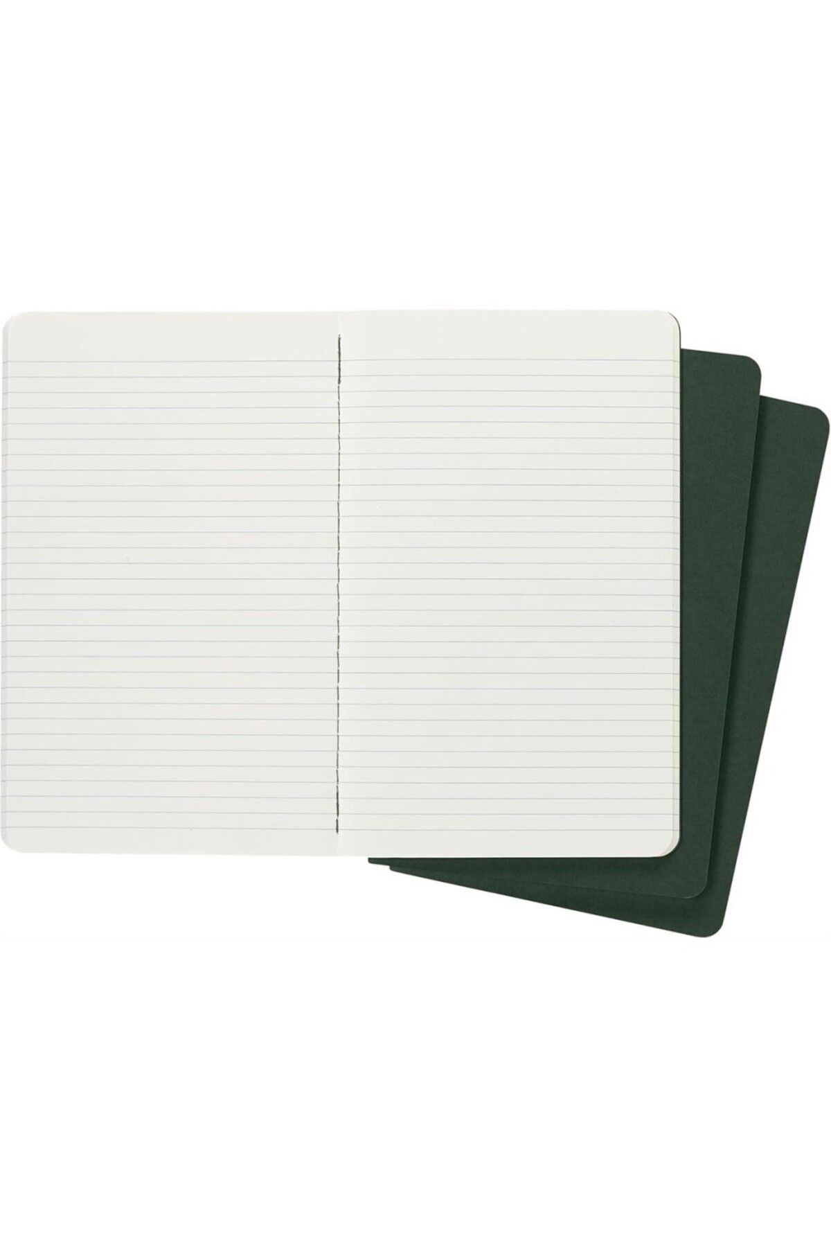 Moleskine-Striped Cahier Notepad Set of 3 L Size Myrtle Green 4