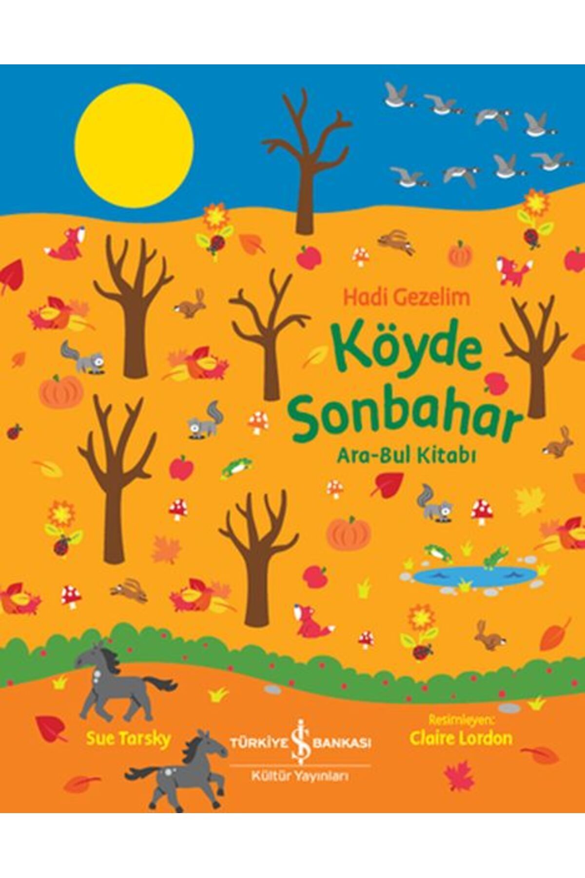 Destek Yayınları Köyde Sonbahar AraBul Kitabı Hadi Gezelim