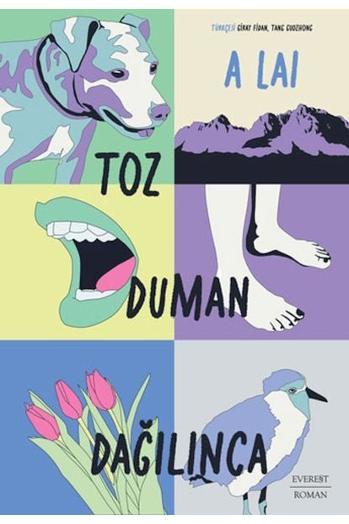 Destek Yayınları Toz Duman Dağılınca