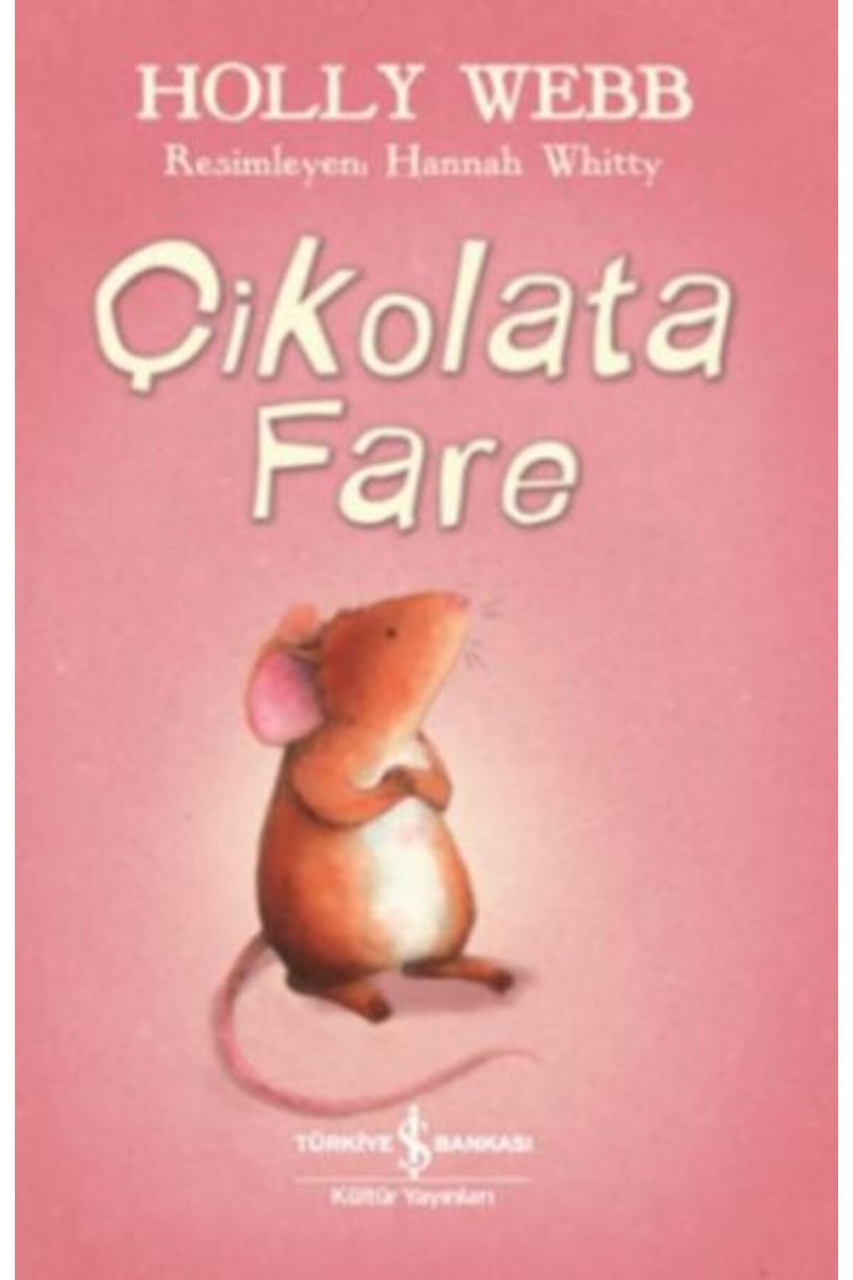 Destek Yayınları Çikolata Fare