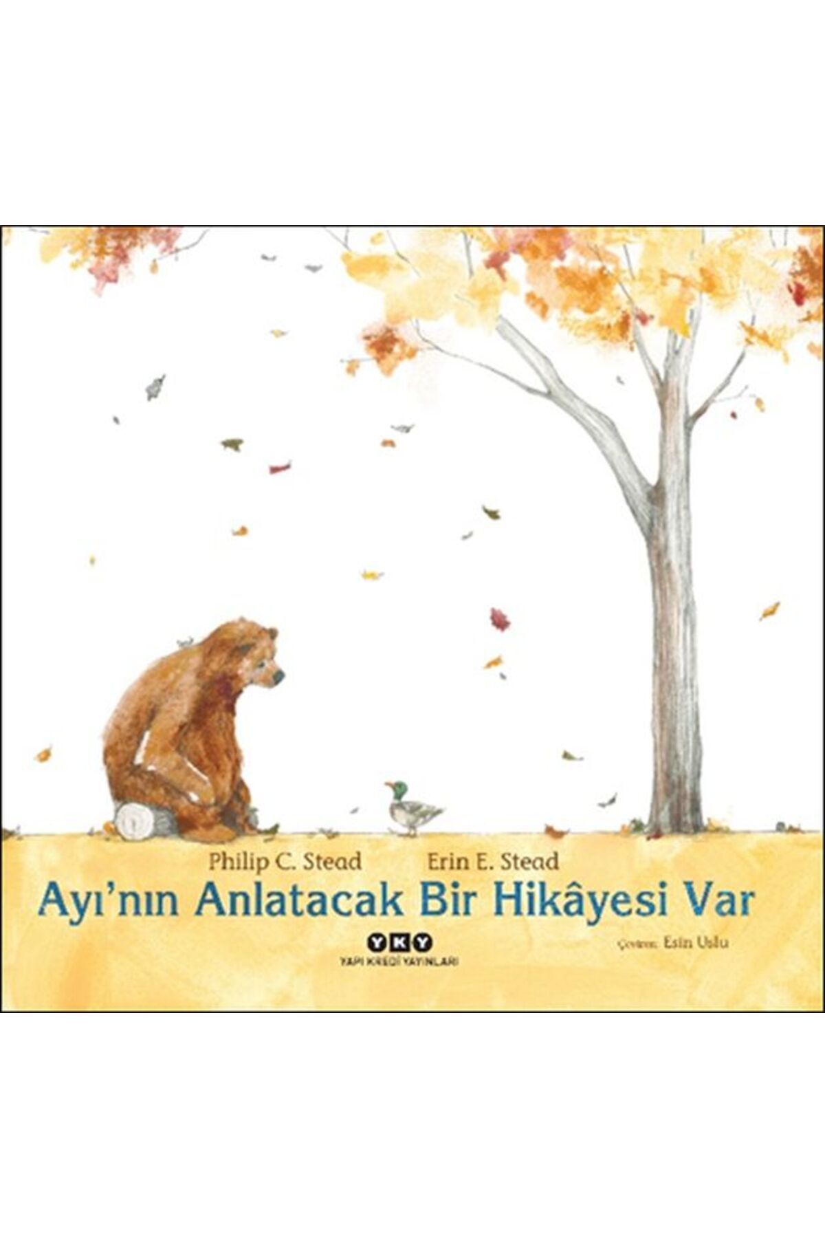 Destek Yayınları Ayının Anlatacak Bir Hikyesi Var