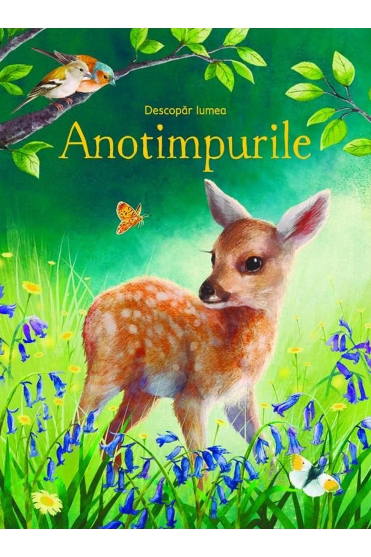Editura Univers Enciclopedic Junior Descopar Lumea. Anotimpurile (usborne), Emily Bone - One Size