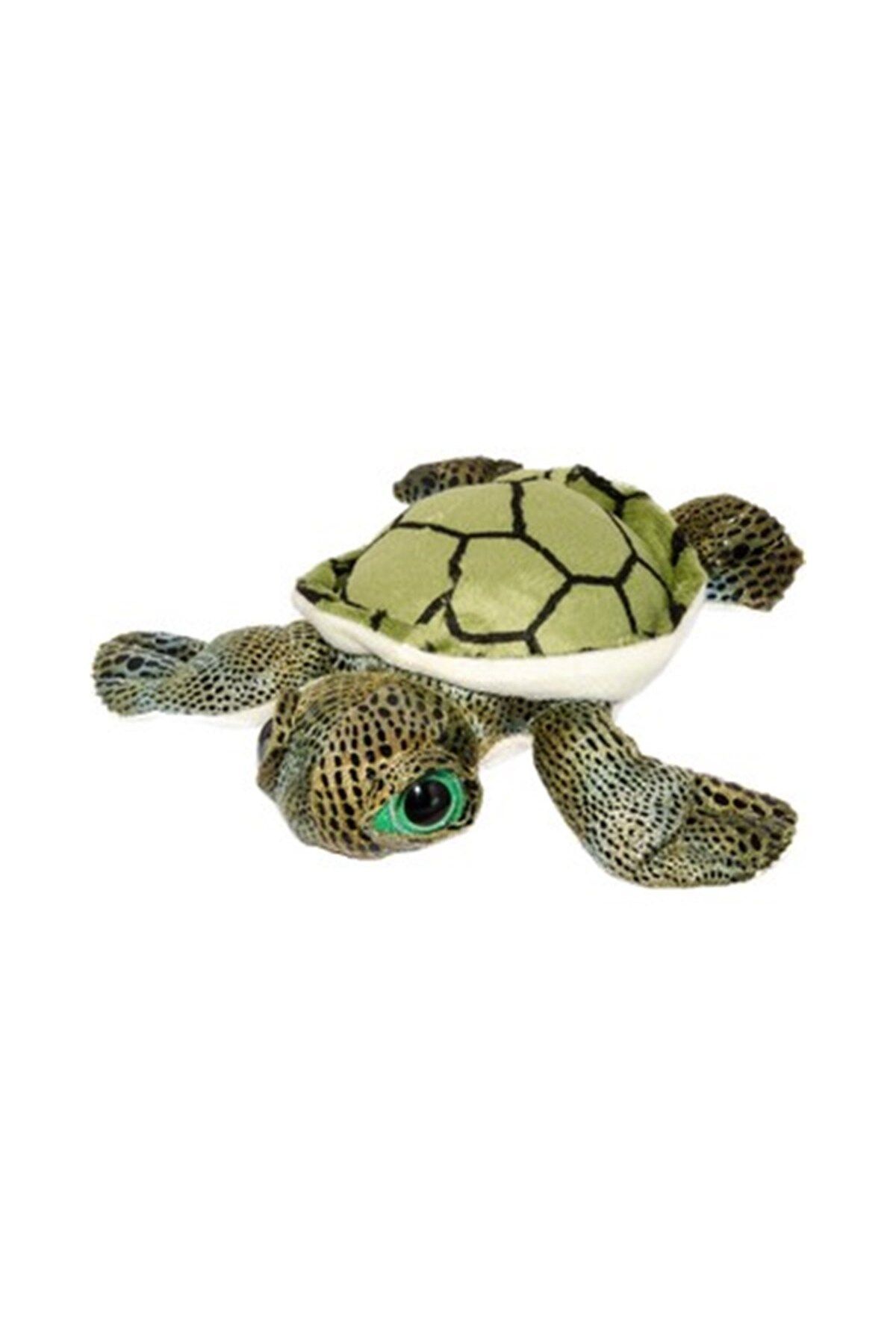 osman kızılkaya KZL Caretta Kaplumbağa 20 cm