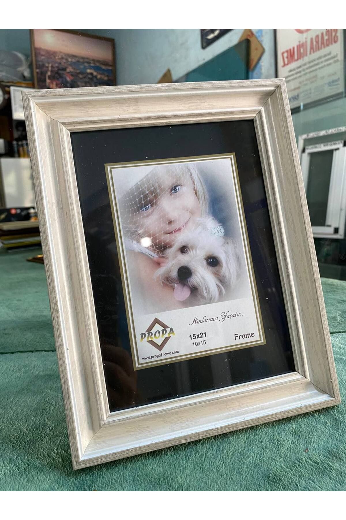 propa 15x21 Beyaz Ve Gold Renk Çerçeve | Camlı, Duvara ve Masaya Uygun Dekoratif Fotoğraf Çerçevesi