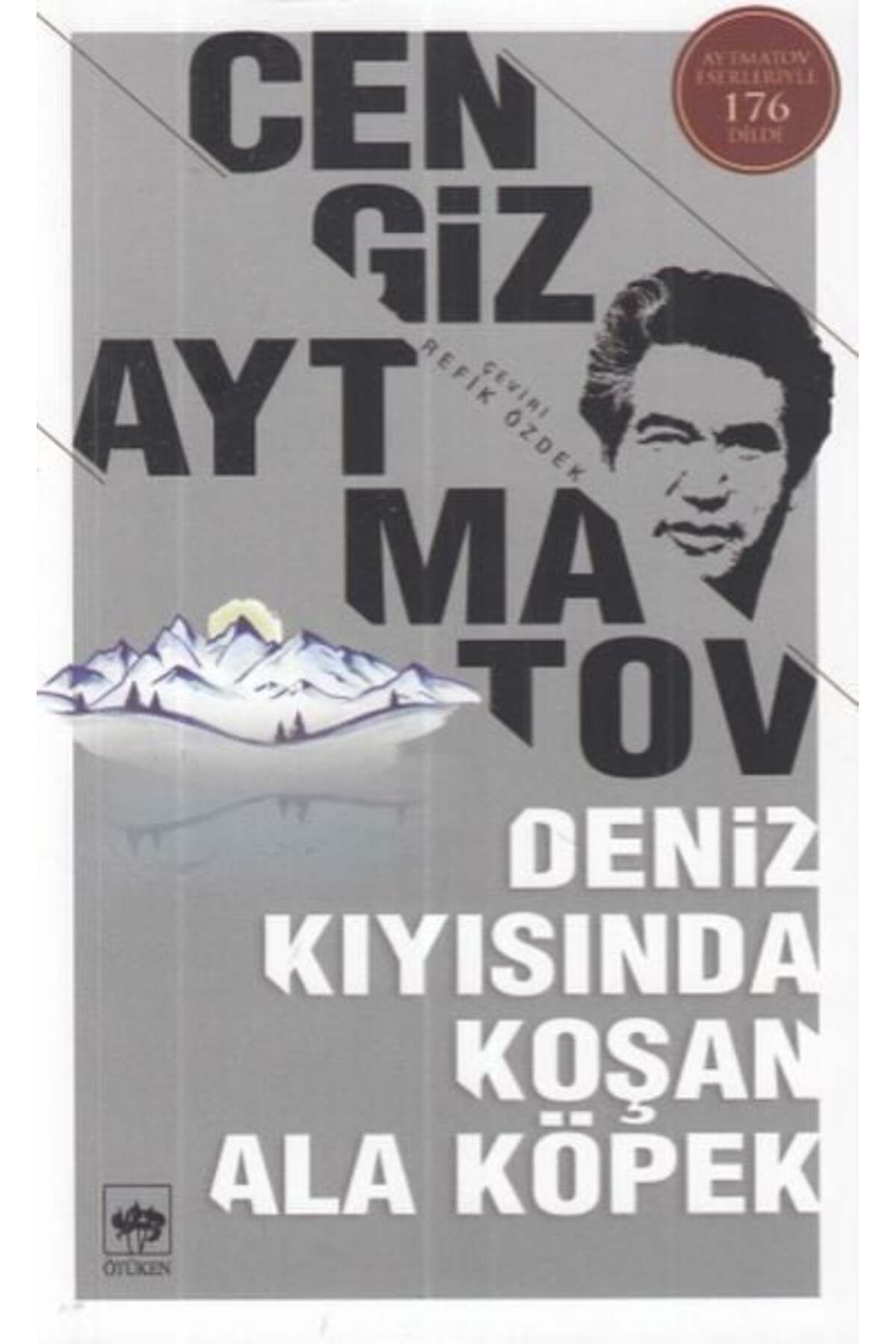 Destek Yayınları Deniz Kıyısında Koşan Ala Köpek