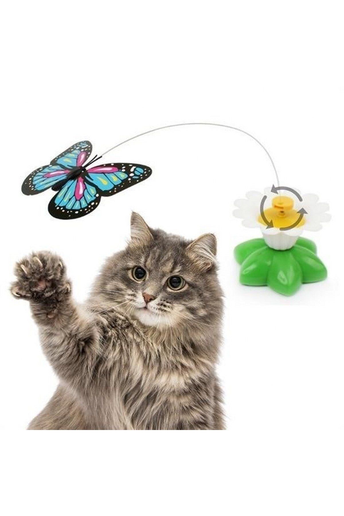 tedaks Hareketli Dönen Kelebek - Kedi Oyuncağı ( Pille Çalışır)