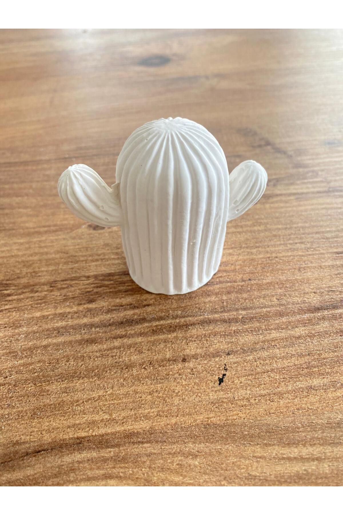 WionArt Kaktüs biblo 6x7cm