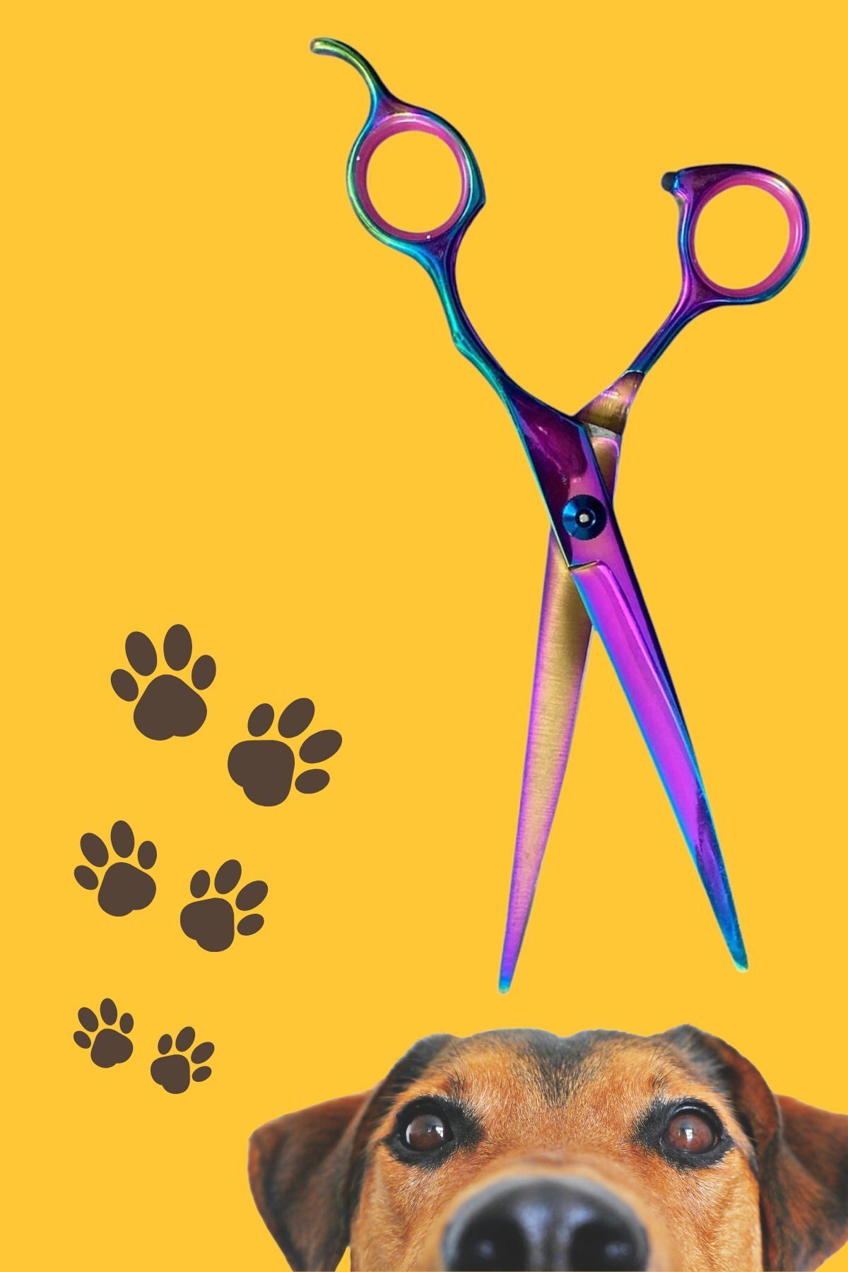 bloomplus Gökkuşağı Pet Bakım Kavisli Makas 7 İnç Traş Maksı
