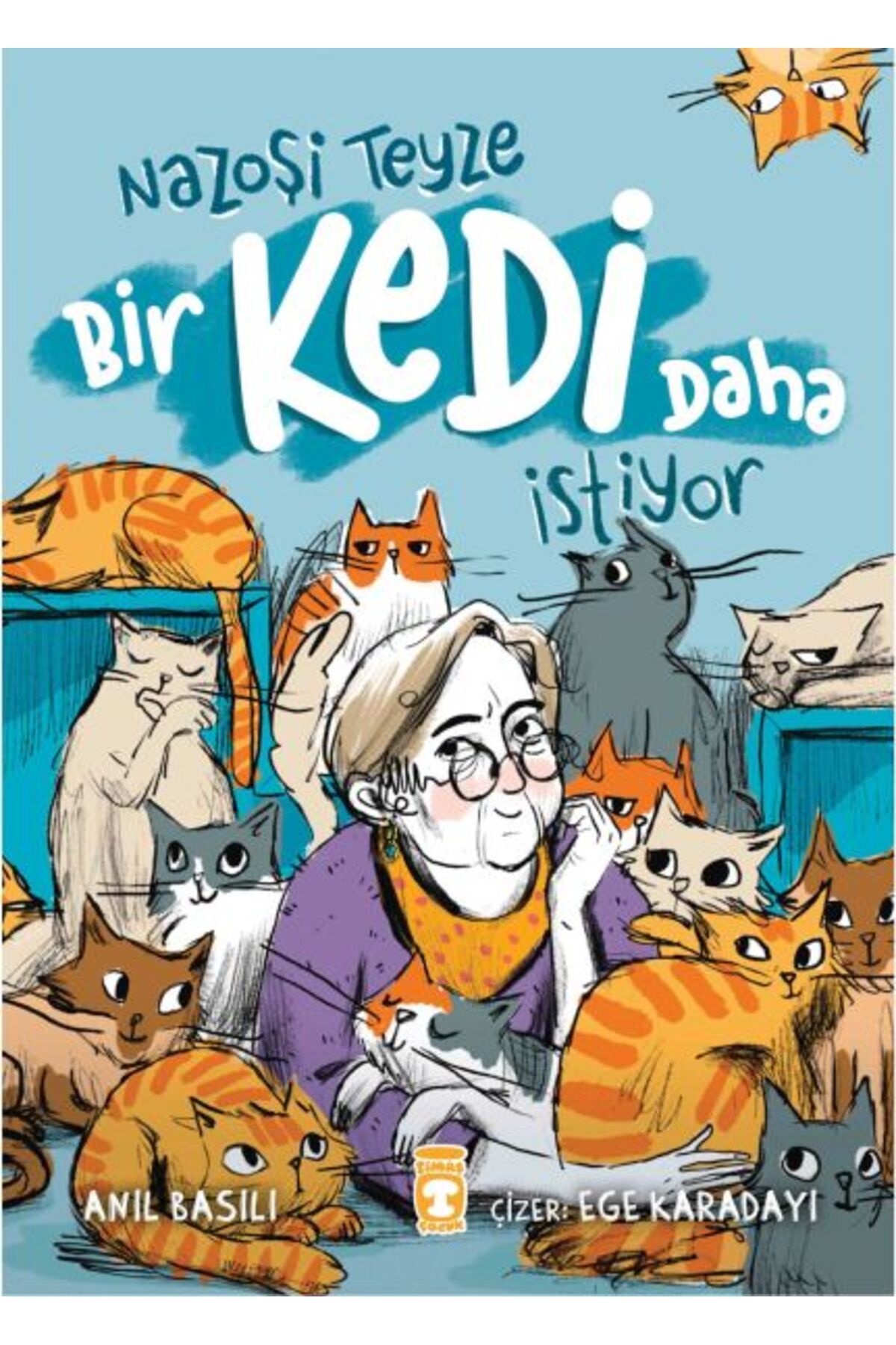 Destek Yayınları Nazoşi Teyze Bir Kedi Daha İstiyor
