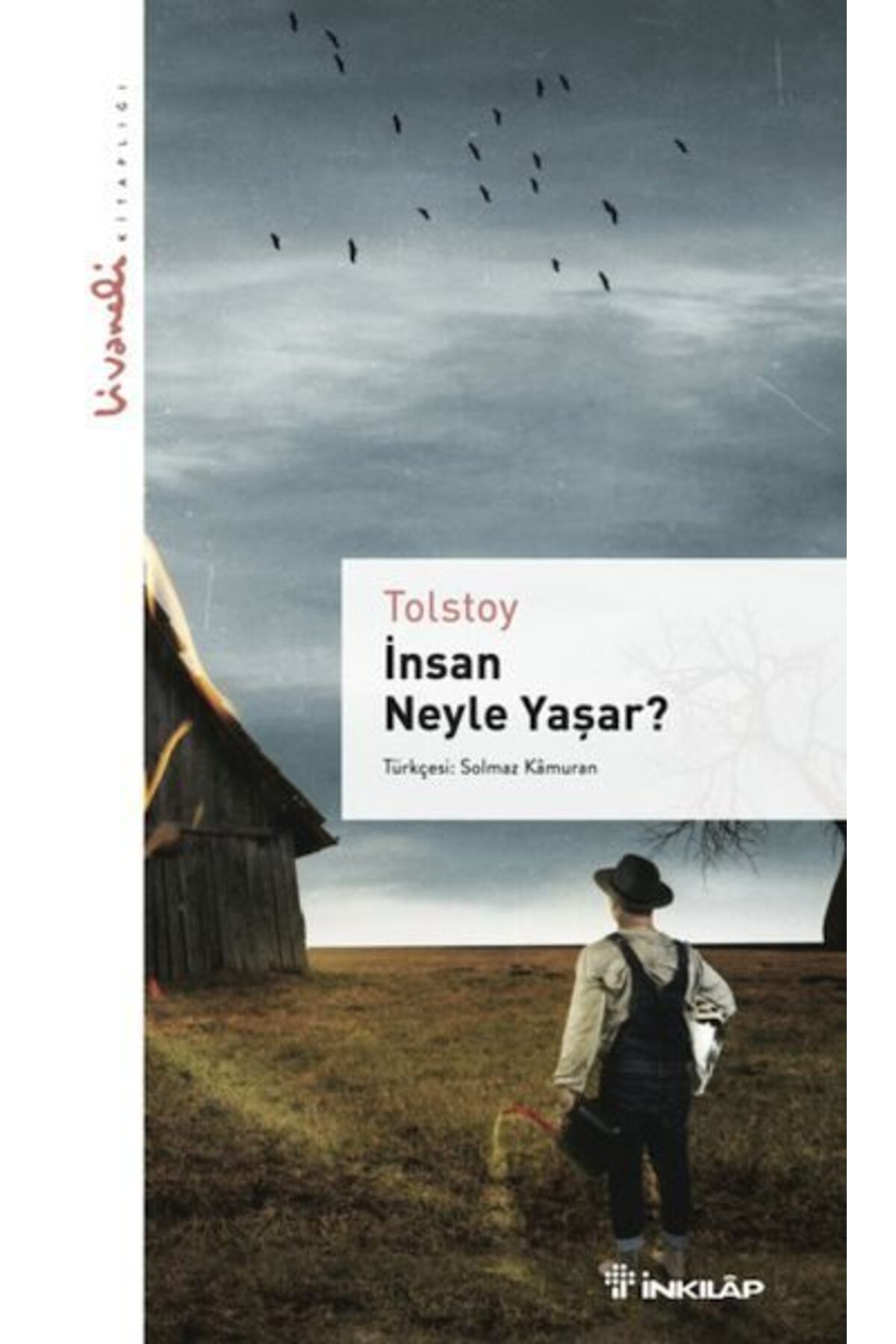 Destek Yayınları İnsan Neyle Yaşar Livaneli kitaplığı