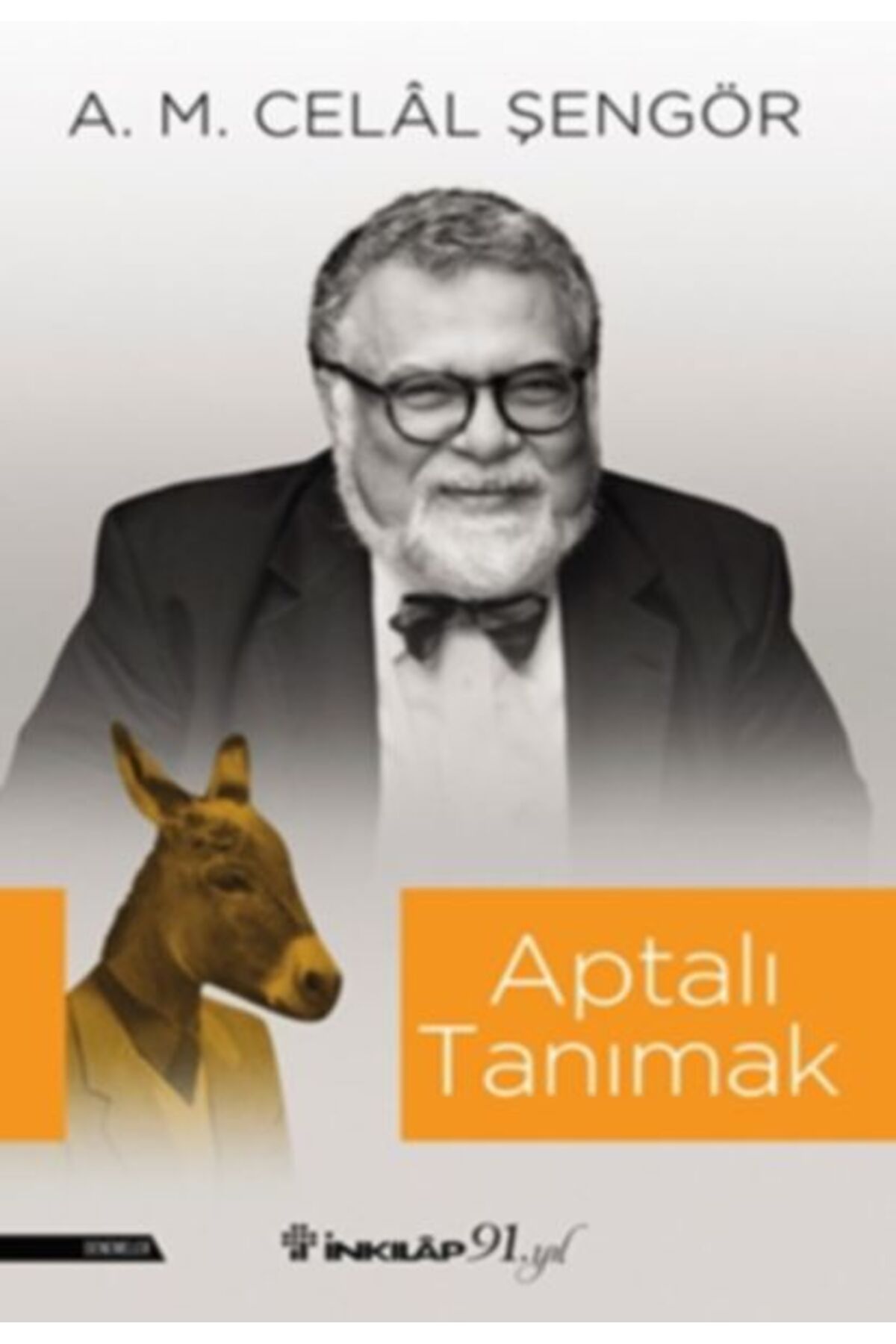 Destek Yayınları Aptalı Tanımak
