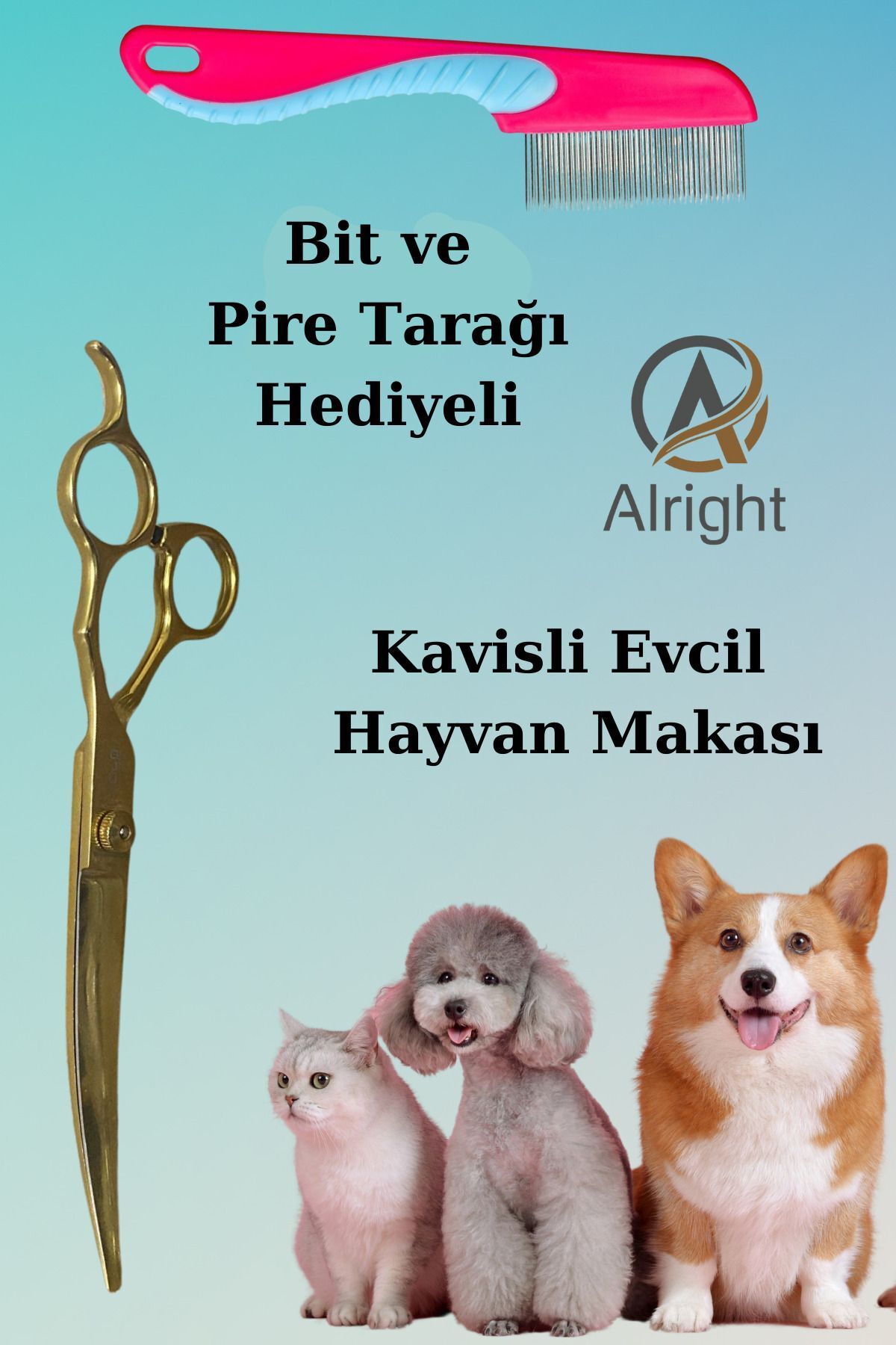 Alright Kavisli Gold Profesyonel Evcil Hayvan Kedi ve Köpek Tasarım Makası Bit ve Pire Tarağı