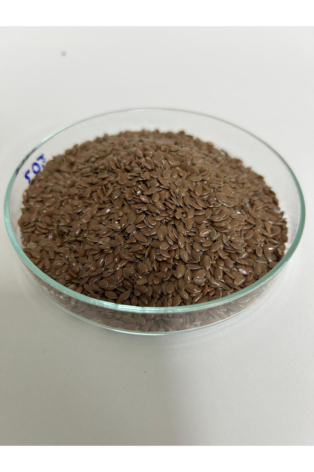 Nova KETEN TOHUMU -100GR