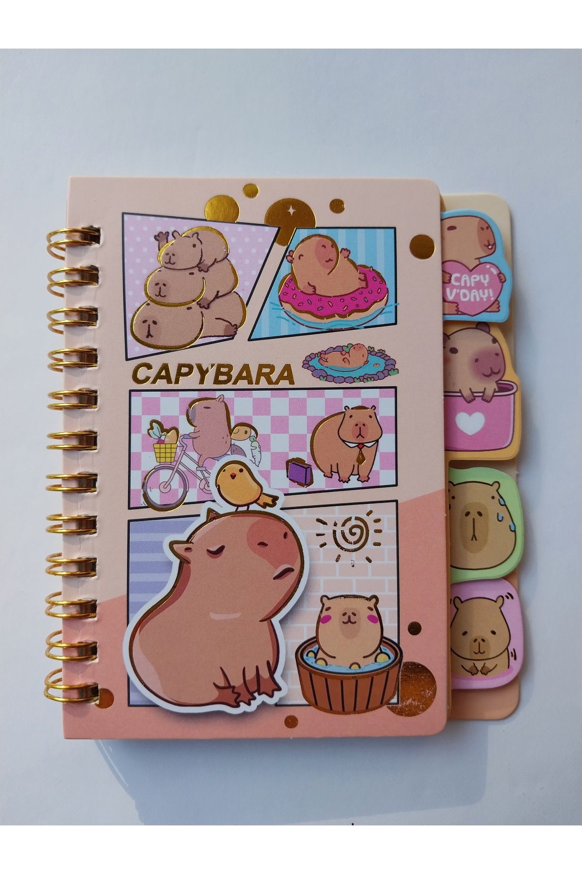 KIRTASİYEM Capybara ayraçlı not defteri