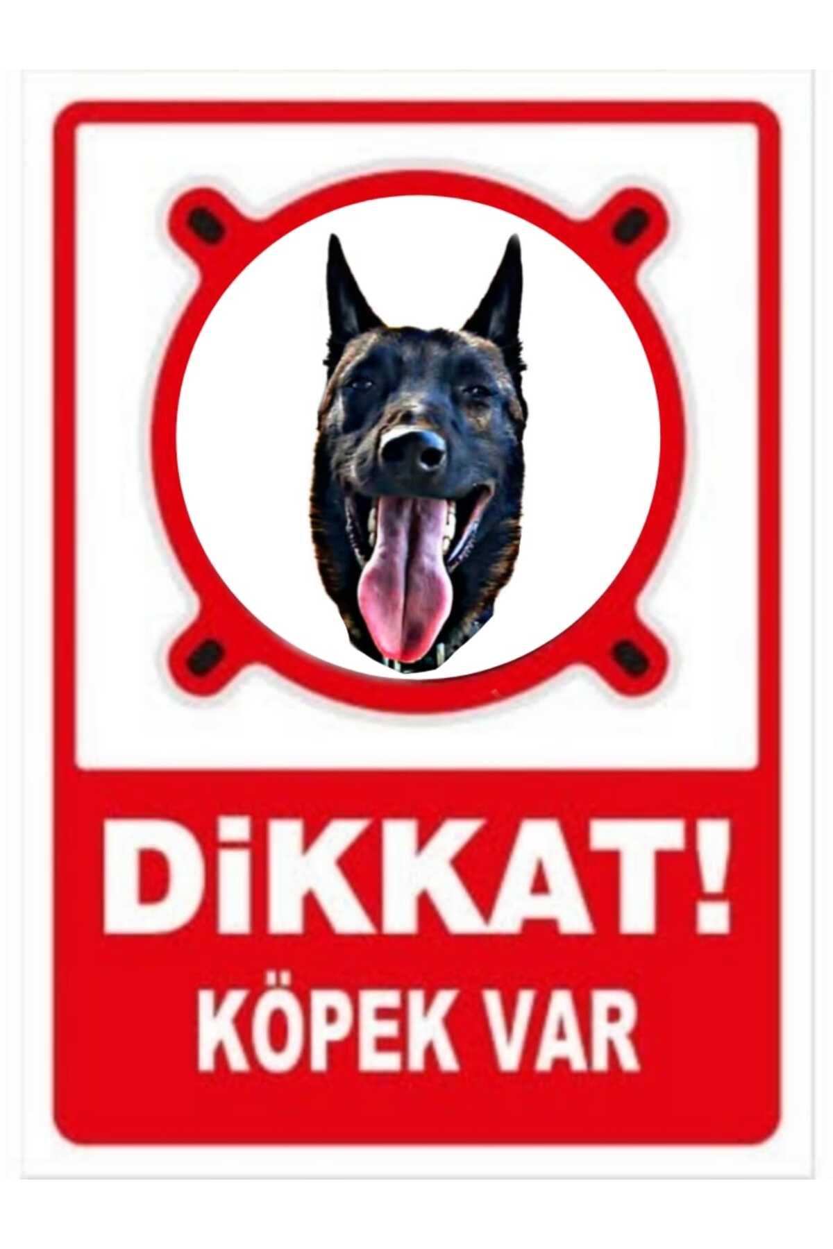 tpkitapevi Retro Vintage Dikkat Köpek Var Ahşap Poster Tablo 20X30 cm