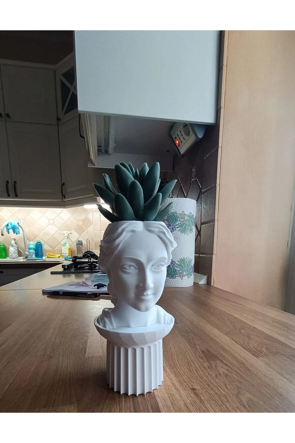 genomera Venüs Sukkulent Saksı