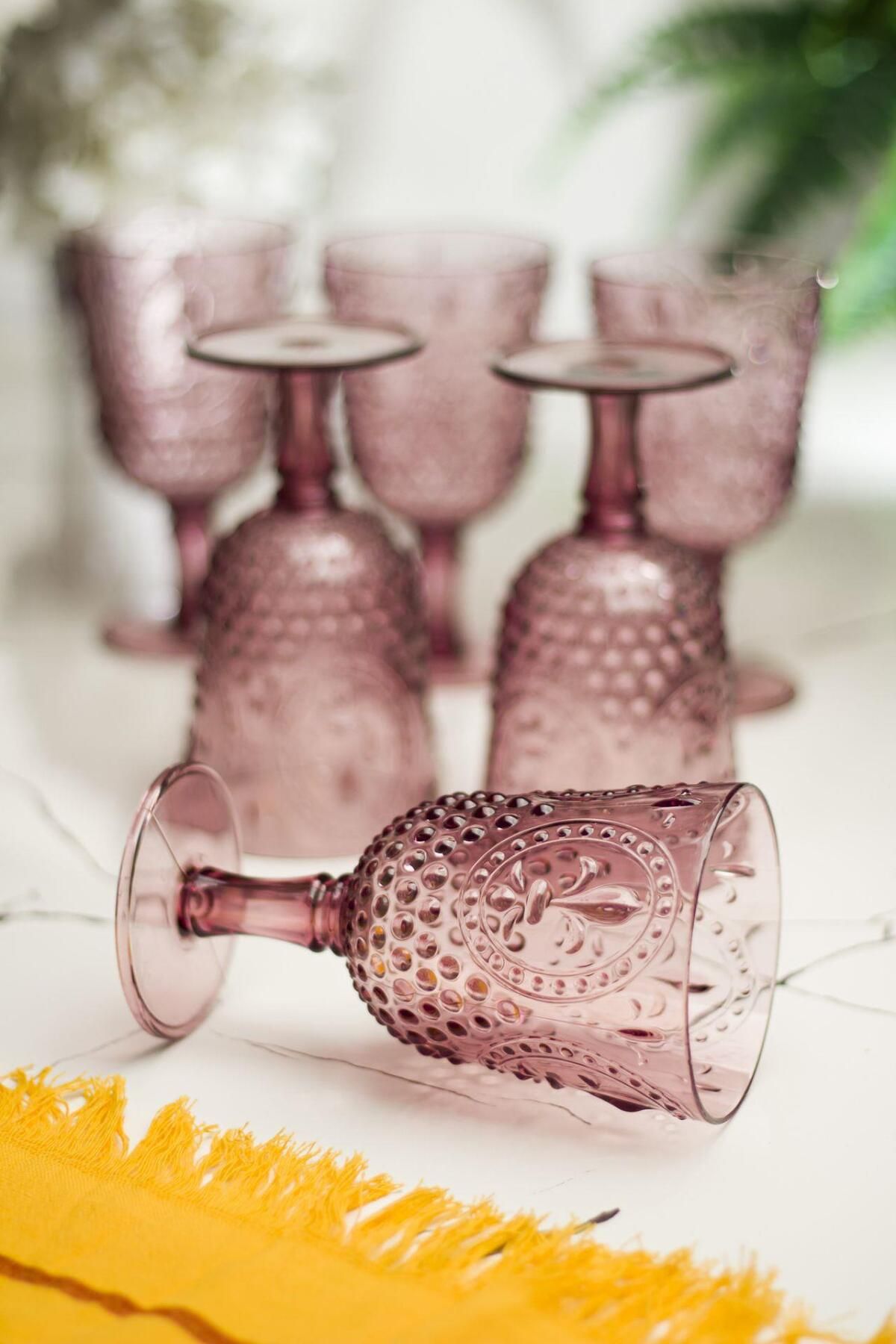 Shop58 Akrilik Mürdüm 6'lı Kadeh & Su Meşrubat Kahve Yanı Bardağı 450 ml ( Cam Değildir )