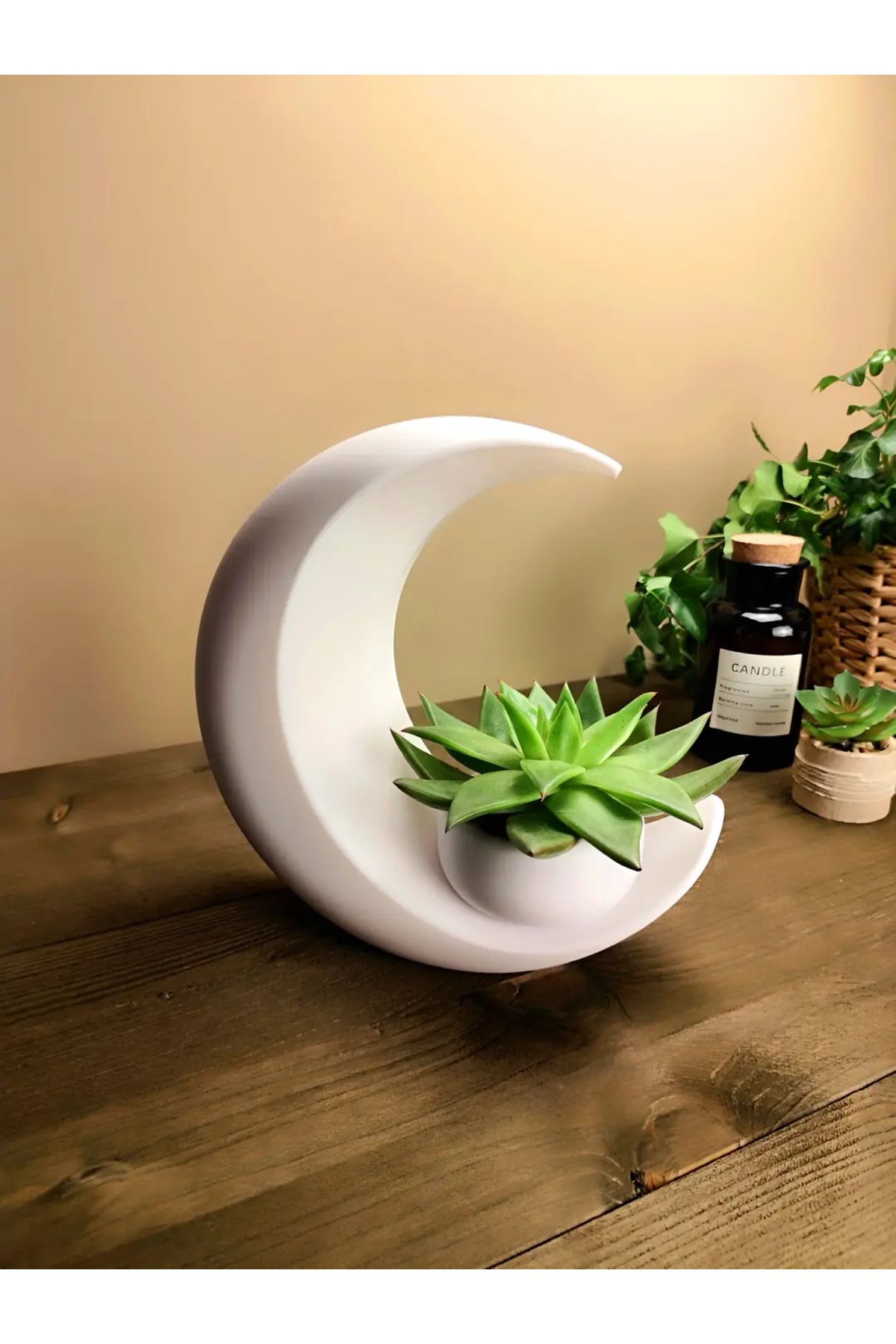 sermen kreatif Into the Moon Succulent Planter, Vase