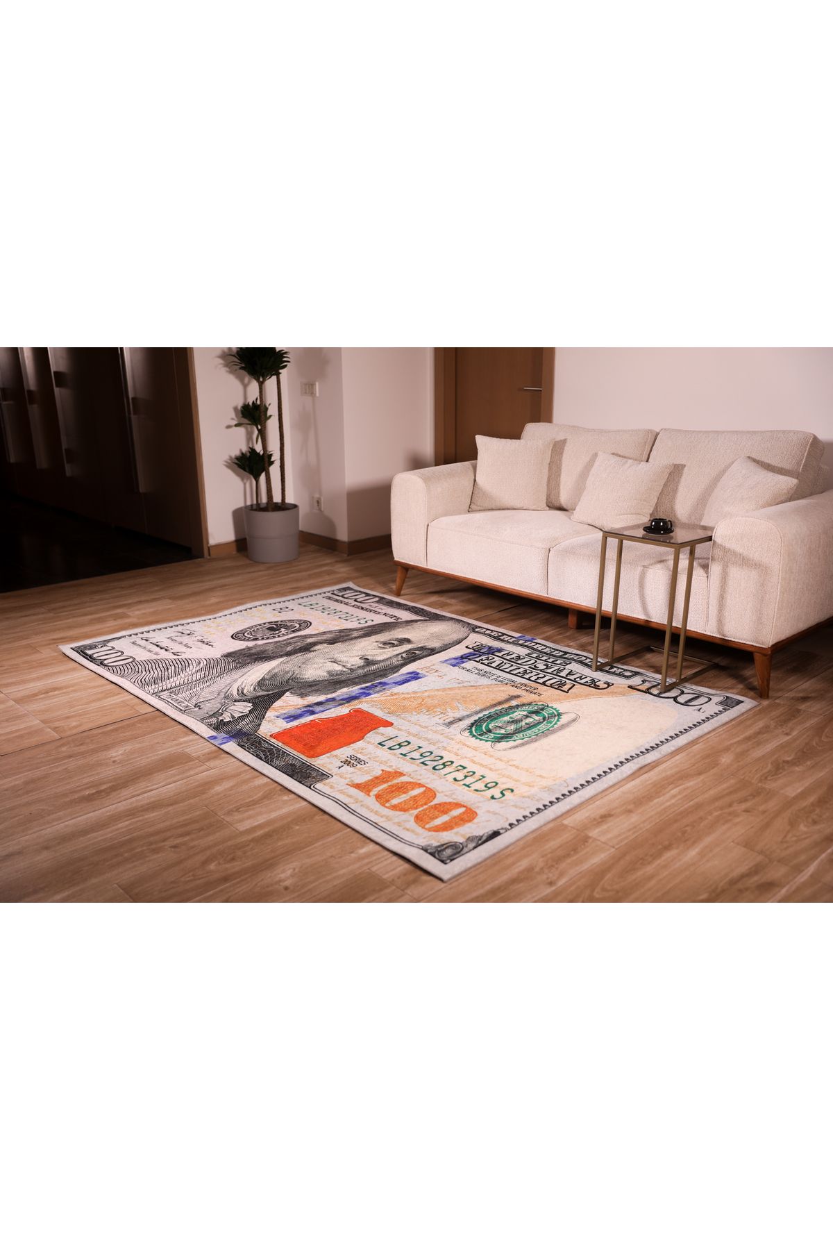 Siela Halı Yıkanabilir Kaymaz Taban Salon Halısı - Dolar