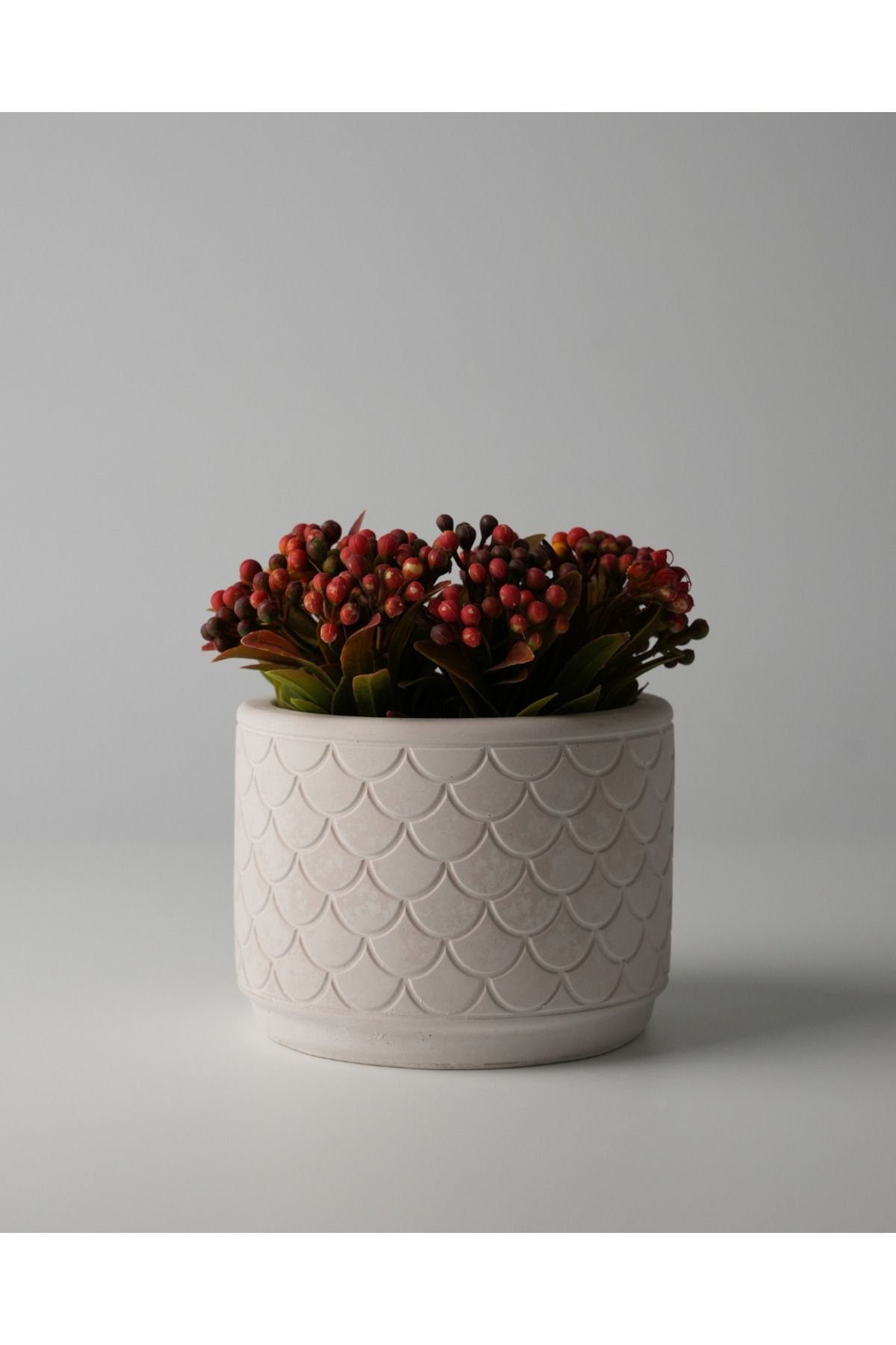 Kaju Creative Dekoratif Beton Saksı - Balık Pulu 8x10 0.25L Küçük Boy Saksı