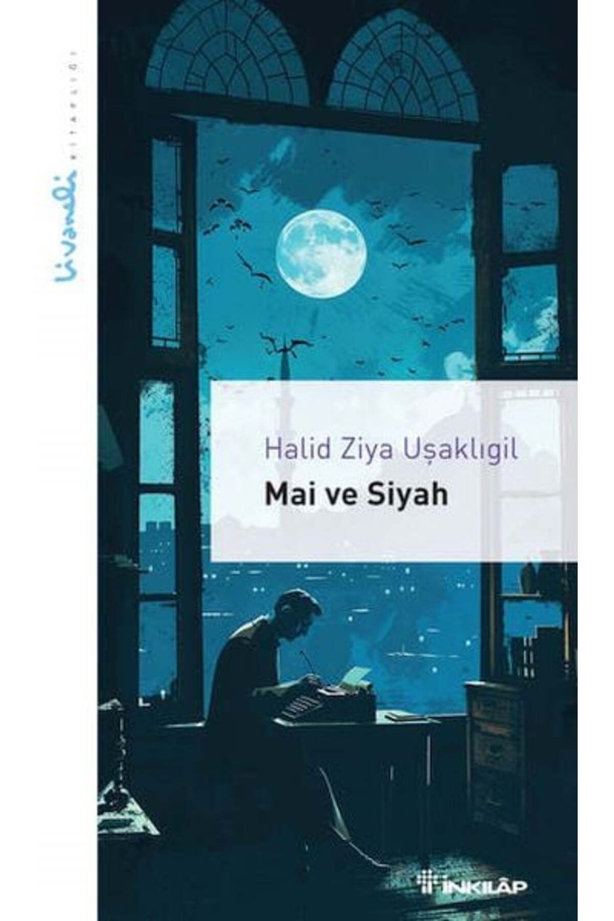 Destek Yayınları Mai ve Siyah Livaneli Kitaplığı