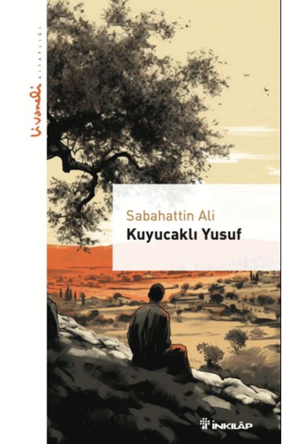 Destek Yayınları Kuyucaklı Yusuf Livaneli Kitaplığı