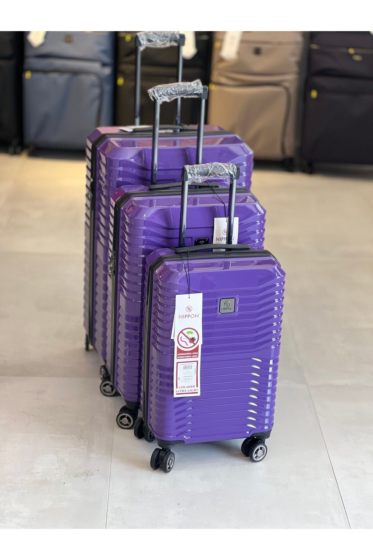 NIPPON Polikarbon Mor Valiz 3'lü Set