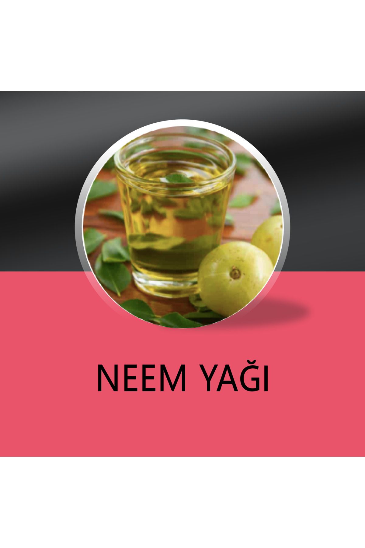 kozmetik madde Neem yağı (Neem Oil) - 1000 ML