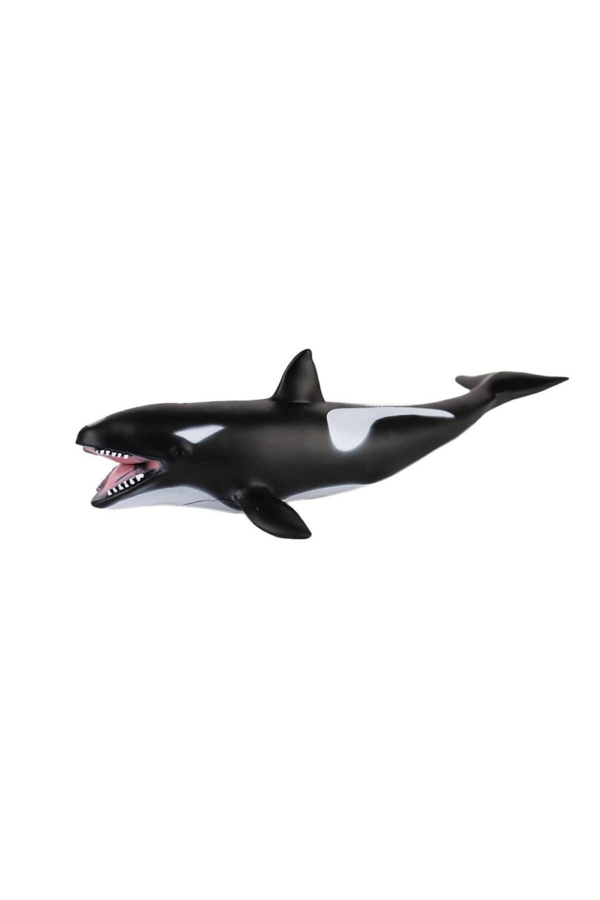 Skygo JQ-008B Deniz Hayvanları -Gepettoys