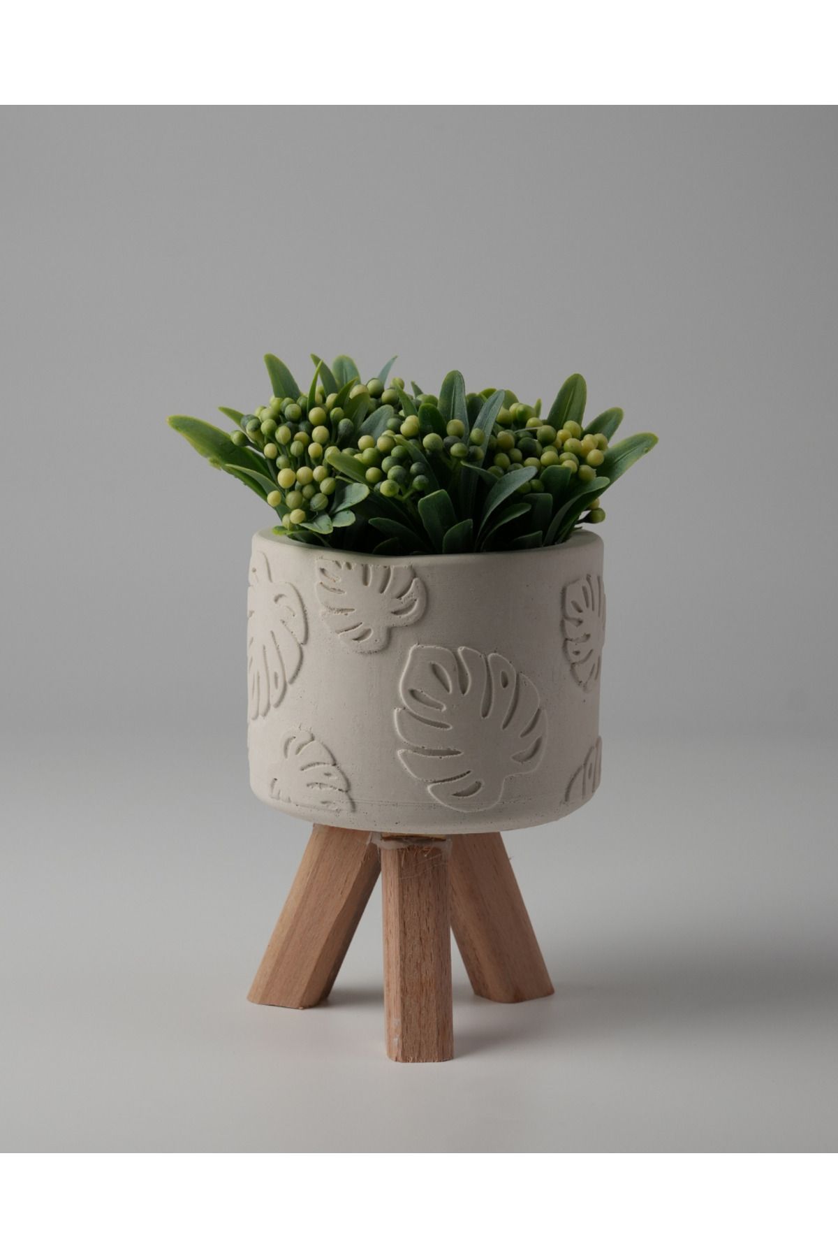 Kaju Creative Dekoratif Beton Saksı -Monstera 7,5x12 0.25L Küçük Ahşap Ayaklı Saksı