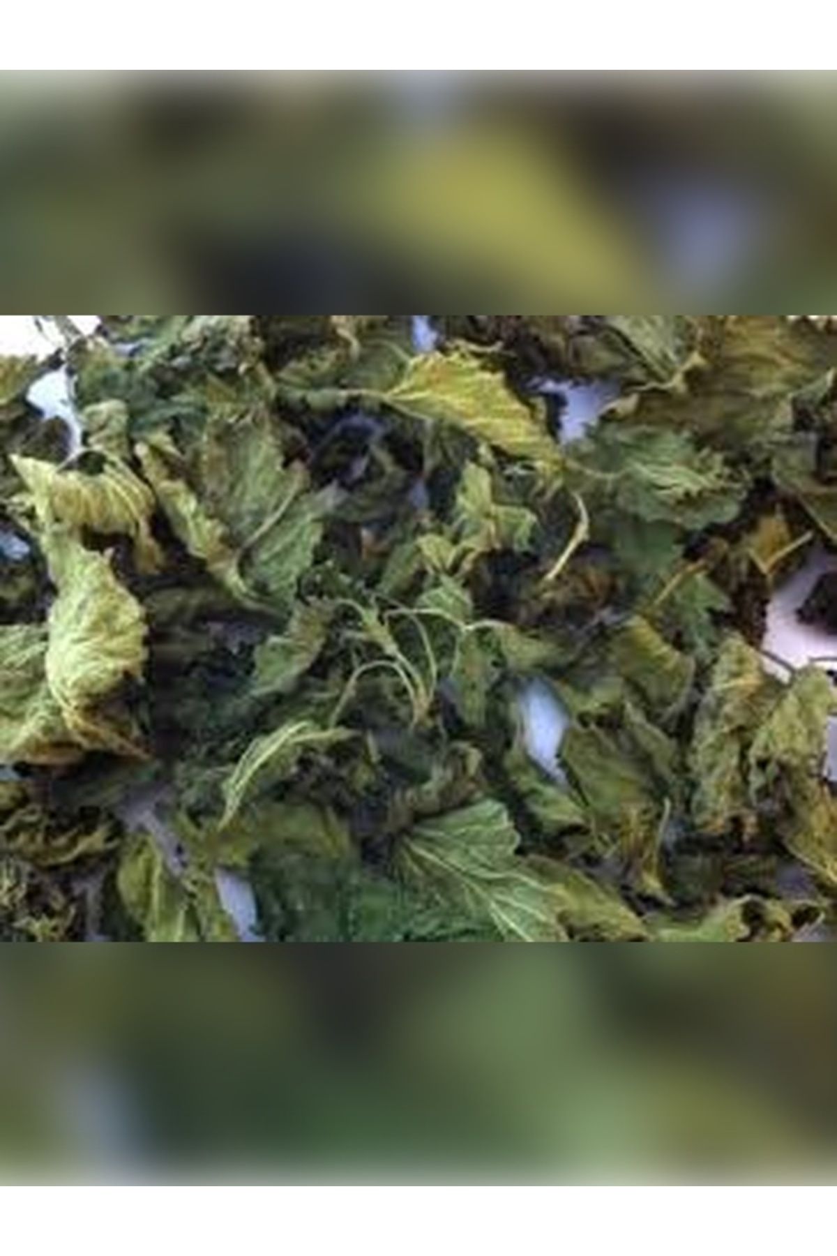 Velit Şemin Şifa Naturel ISIRGAN OTU 50 GR