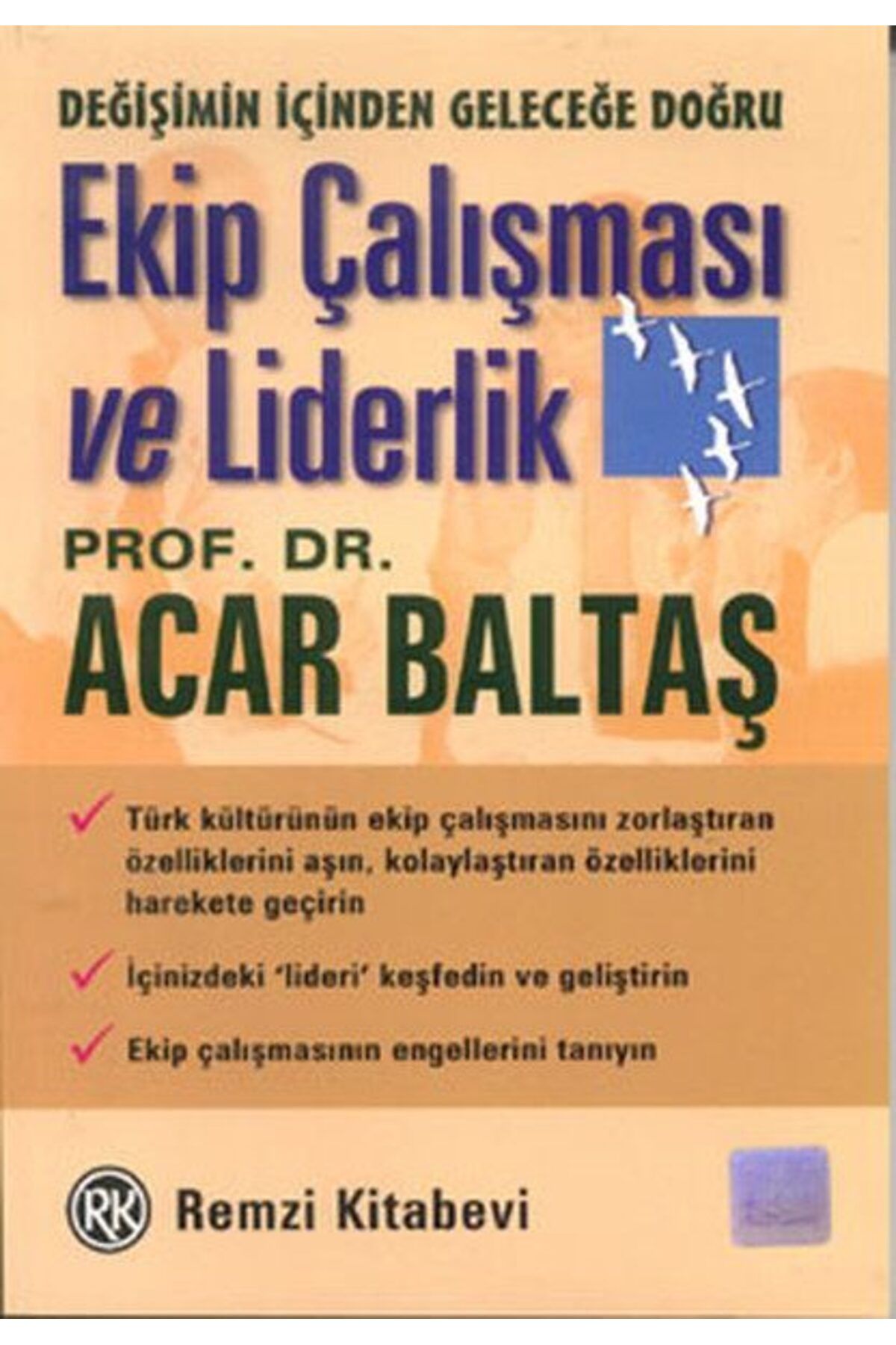 Destek Yayınları Ekip Çalışması ve Liderlik Değişimin İçinden Geleceğe Doğru
