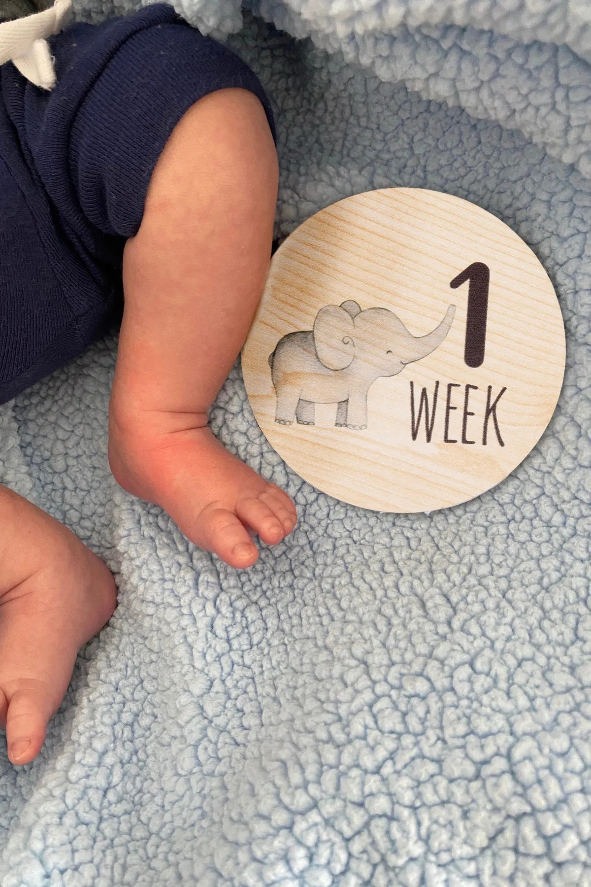 Genel Markalar Safari Ahşap Bebek Anı Diskleri ingilizce Fotoğraf Çekim Kartları fotoğrafı 5 (önizleme)