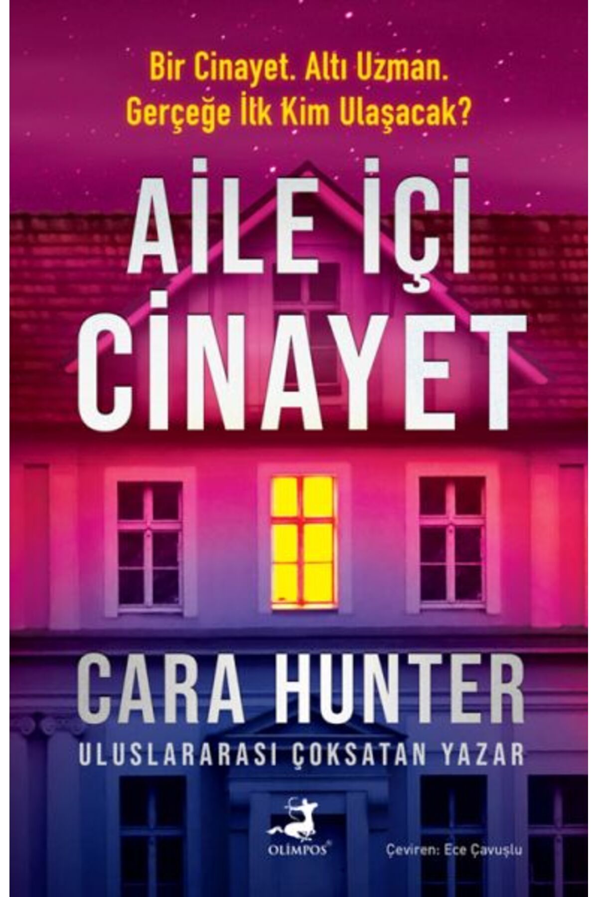 Destek Yayınları Aile İçi Cinayet