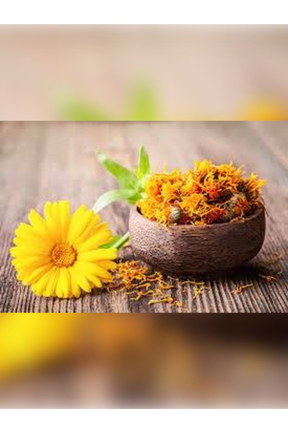 Velit Şemin Şifa Naturel AYNISEFA OTU 50 GR
