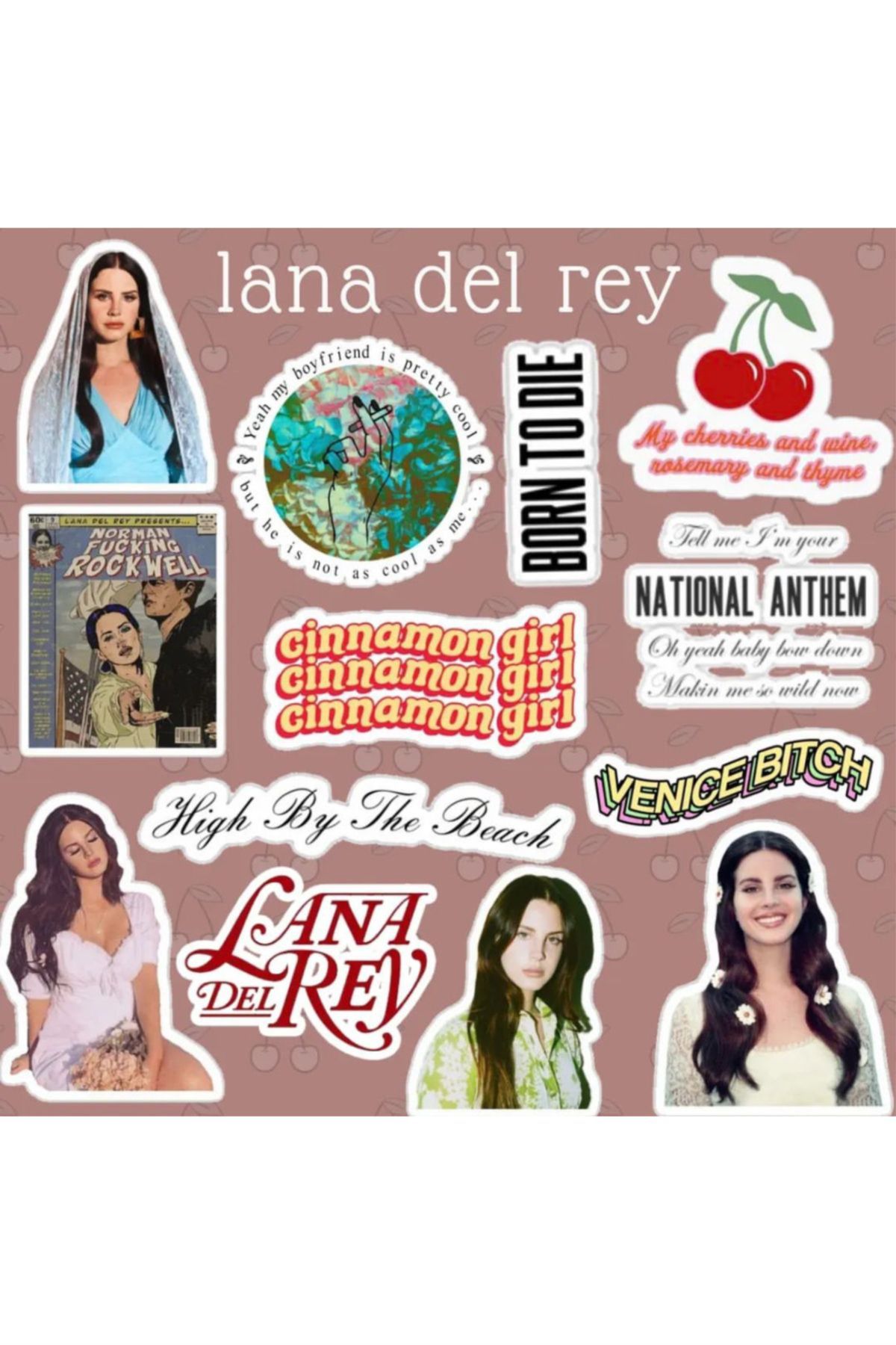 hediyenebak Lana Del Rey Seri 4 Sticker Seti | Laptop Ajanda PC Tablet Telefon Defter Etiket Bullet Journal