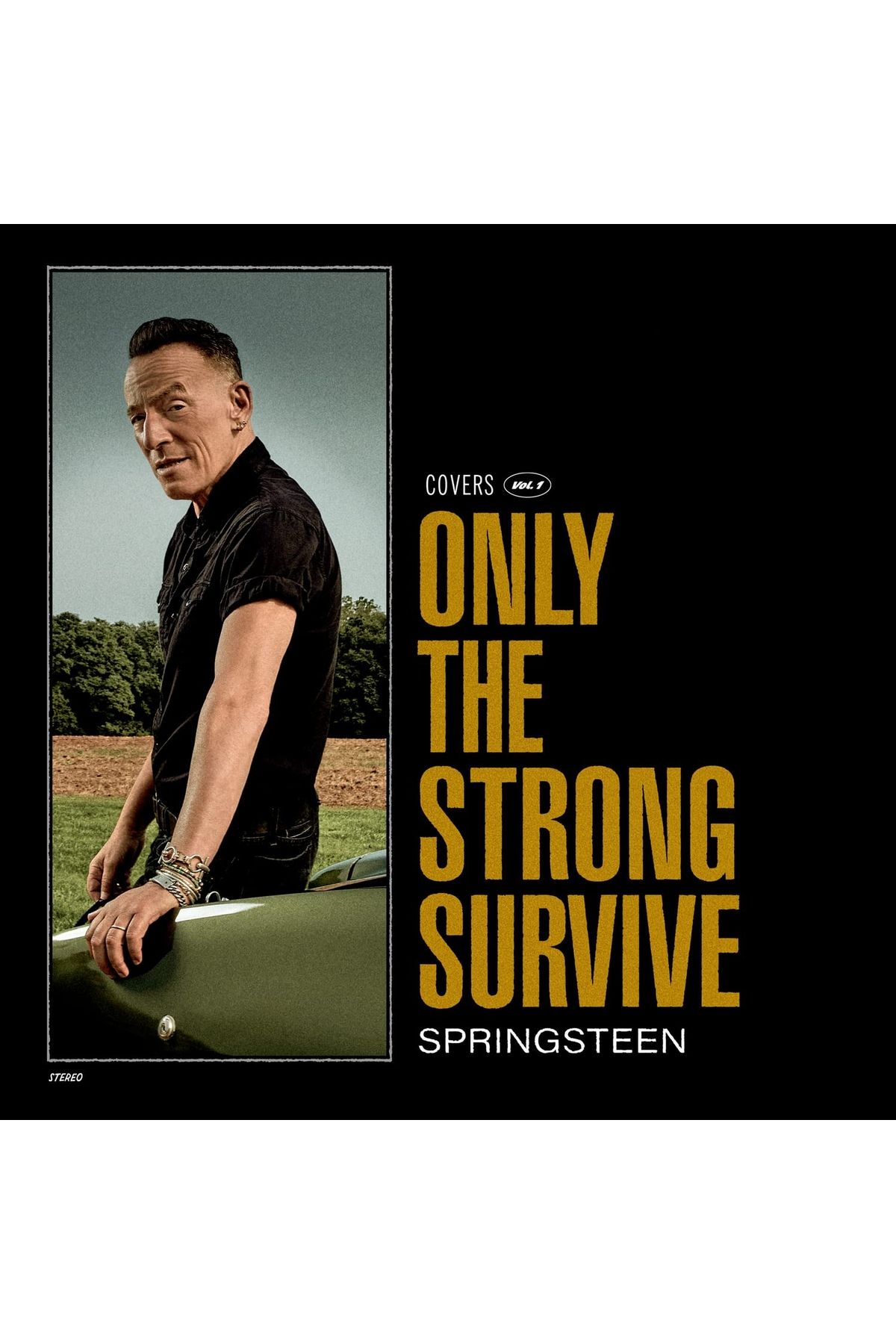 Sony Music Bruce Springsteen - Only The Strong Survive / PLAK