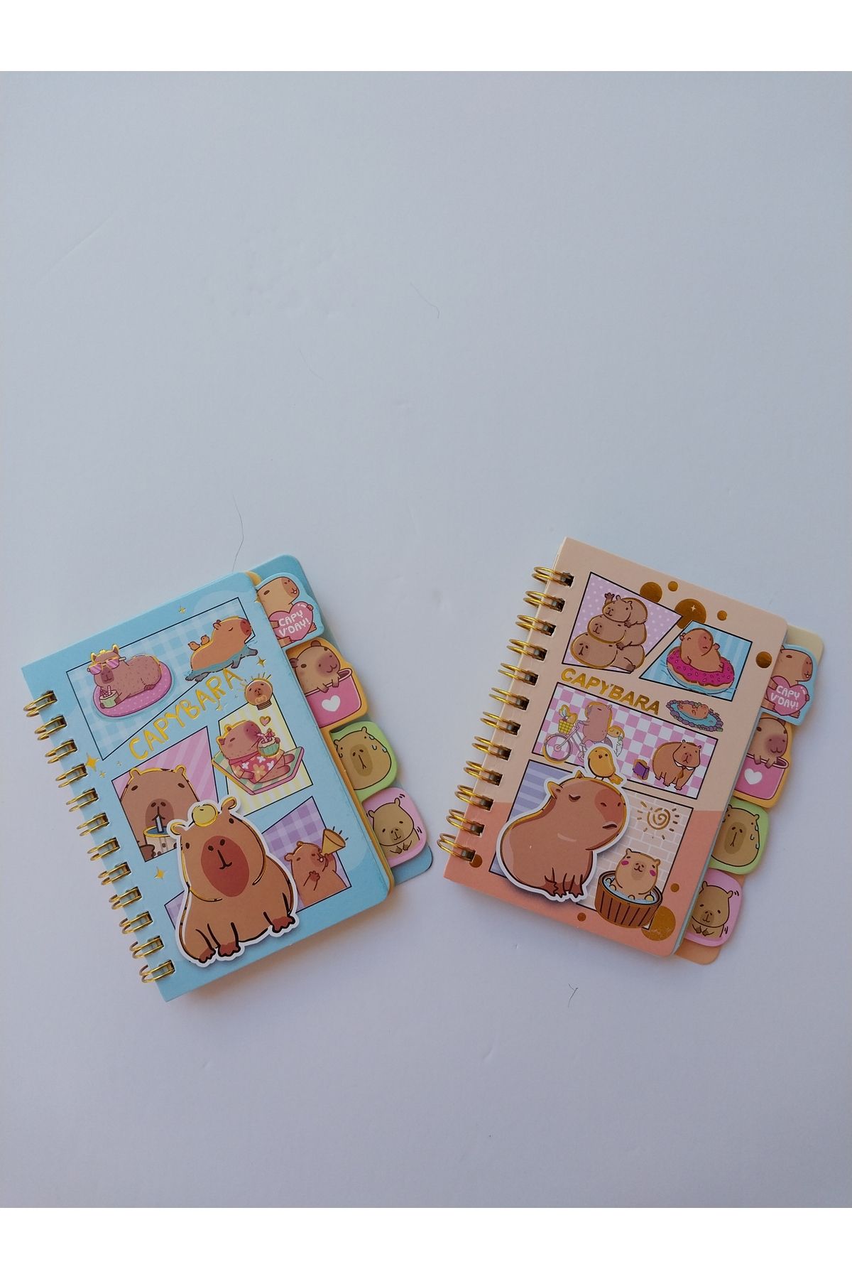 KIRTASİYEM Capybara ayraçlı renkli baskı not defteri 2 li set
