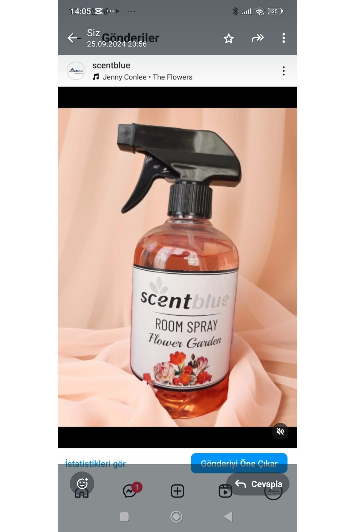 SCENTBLUE Oda Spreyi ve Oto Kokusu