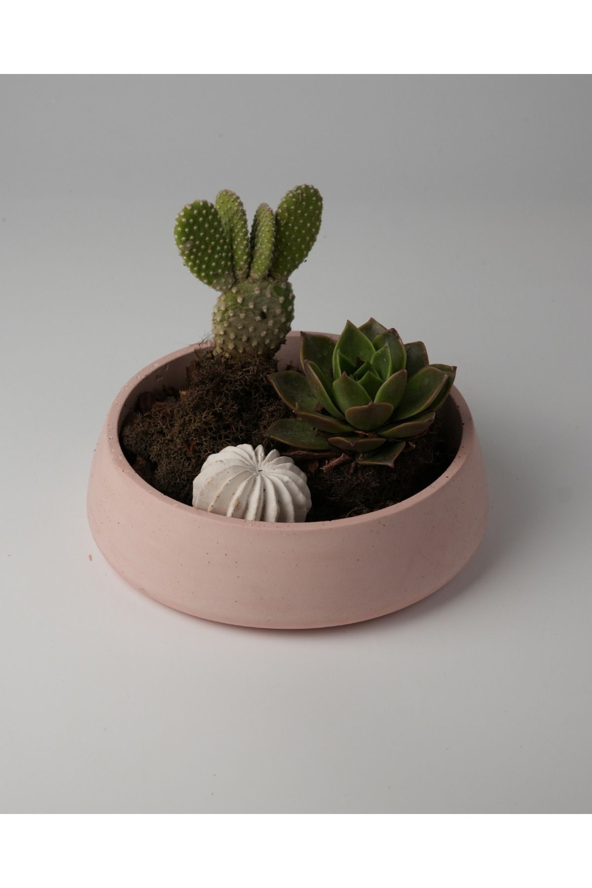 Kaju Creative Dekoratif Beton Kase - Amorf 5x19 1L- Sukulent - Mini Kaktüs - Bonsai - Aranjman Kasesi